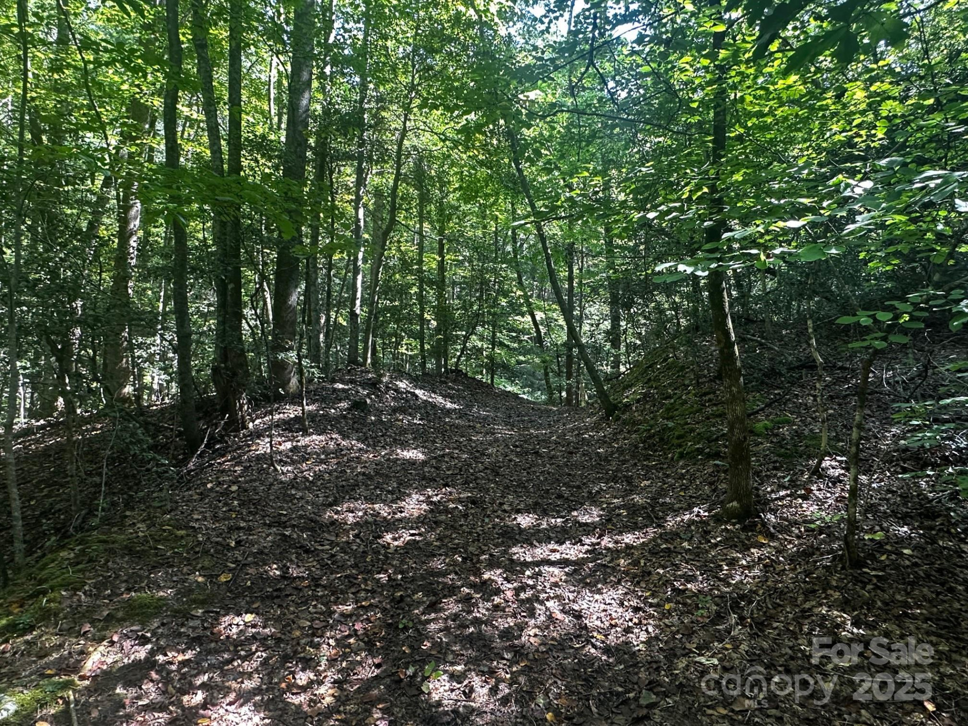 0000 Moss Hill Lane - Photo 11