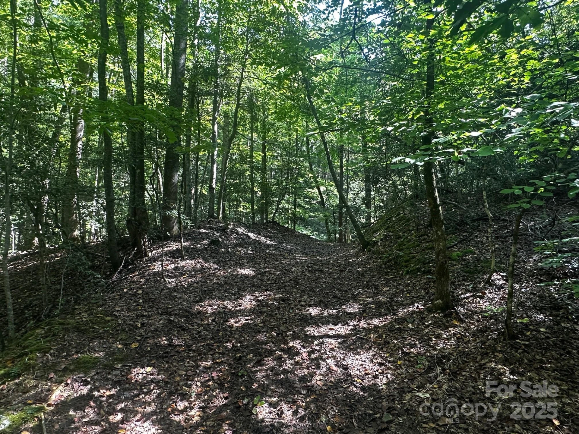0000 Moss Hill Lane - Photo 11