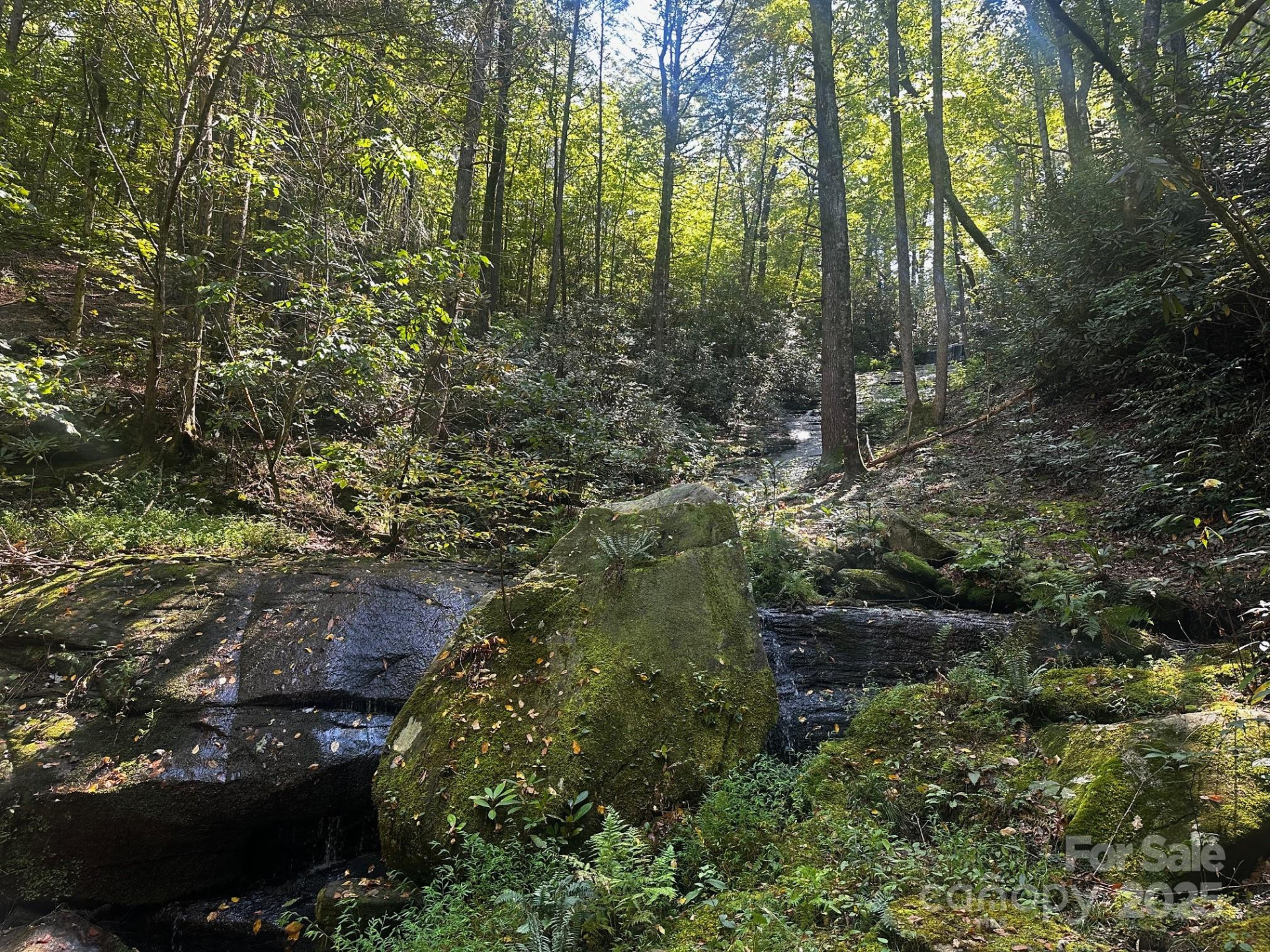 0000 Moss Hill Lane - Photo 13