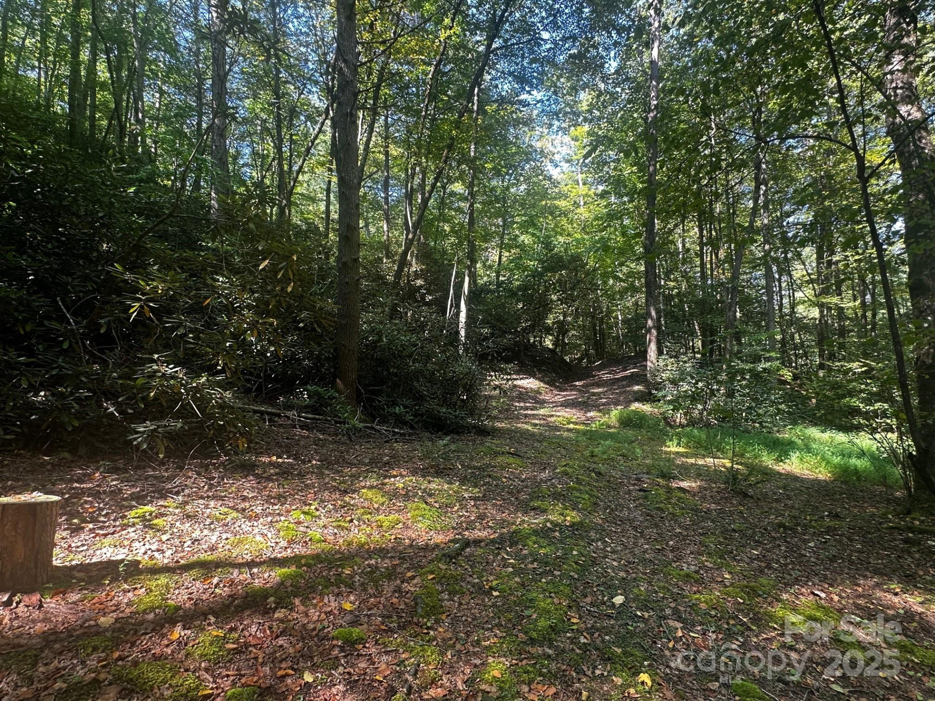 0000 Moss Hill Lane - Photo 14