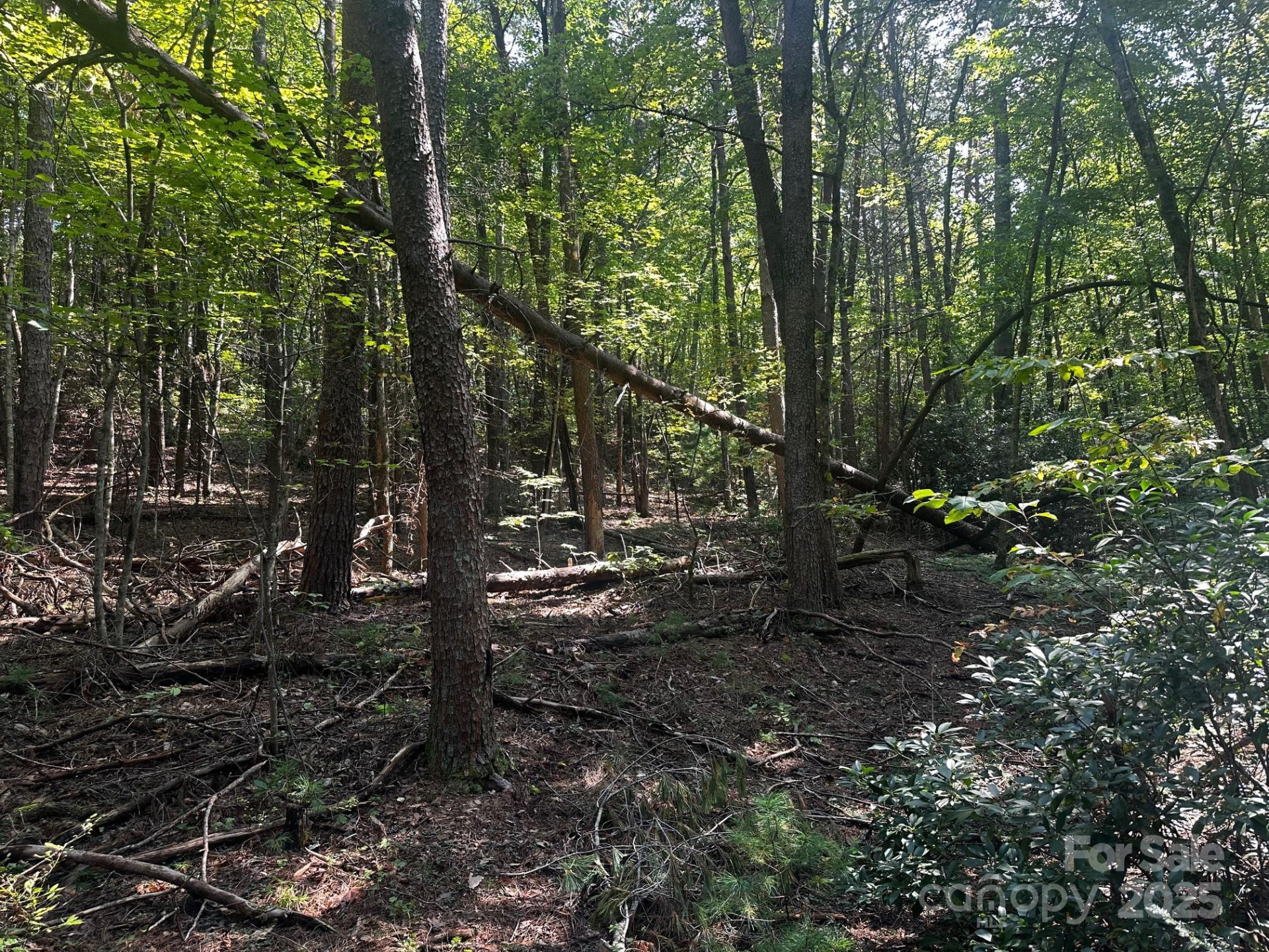 0000 Moss Hill Lane - Photo 15