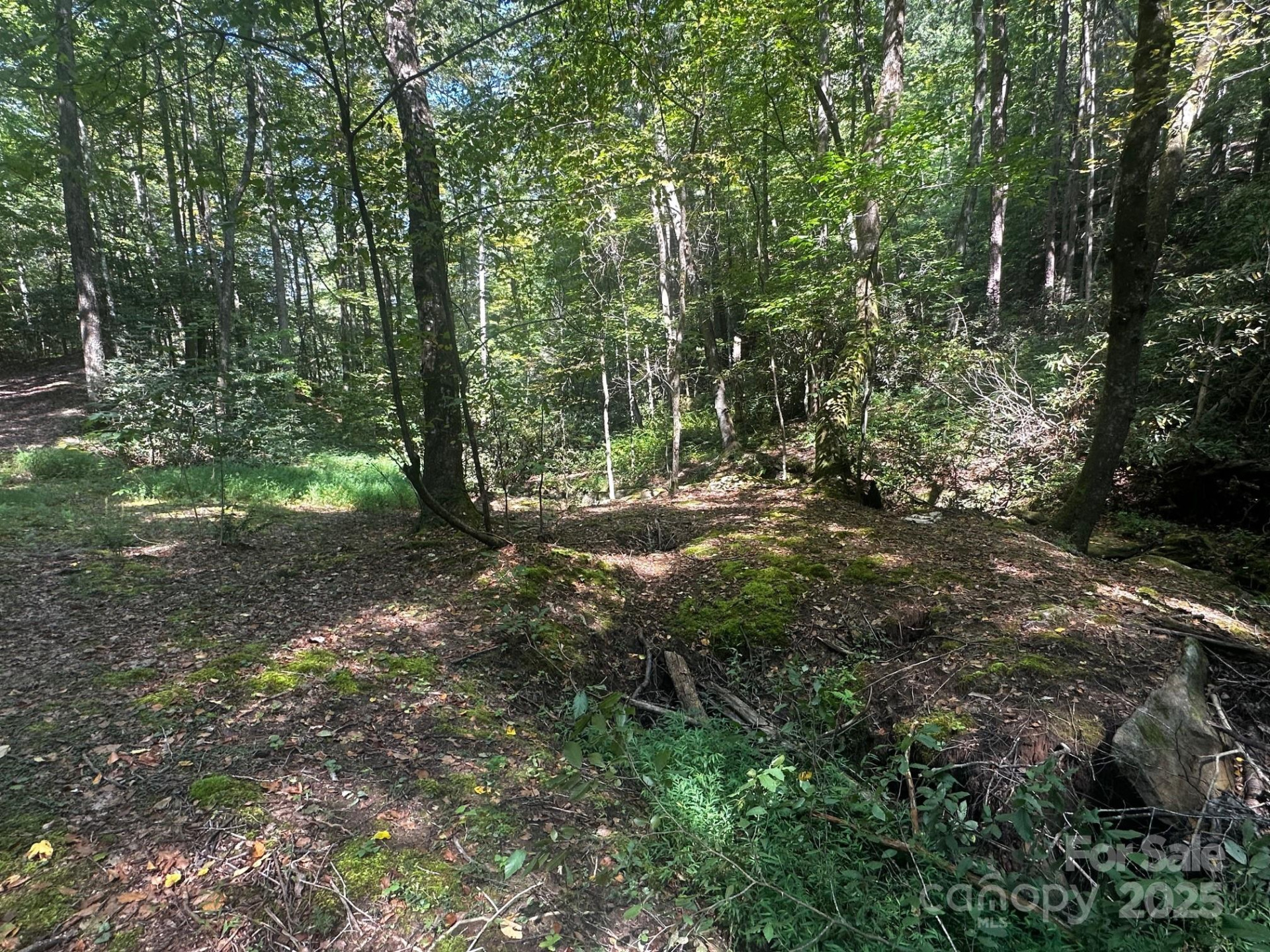 0000 Moss Hill Lane - Photo 16