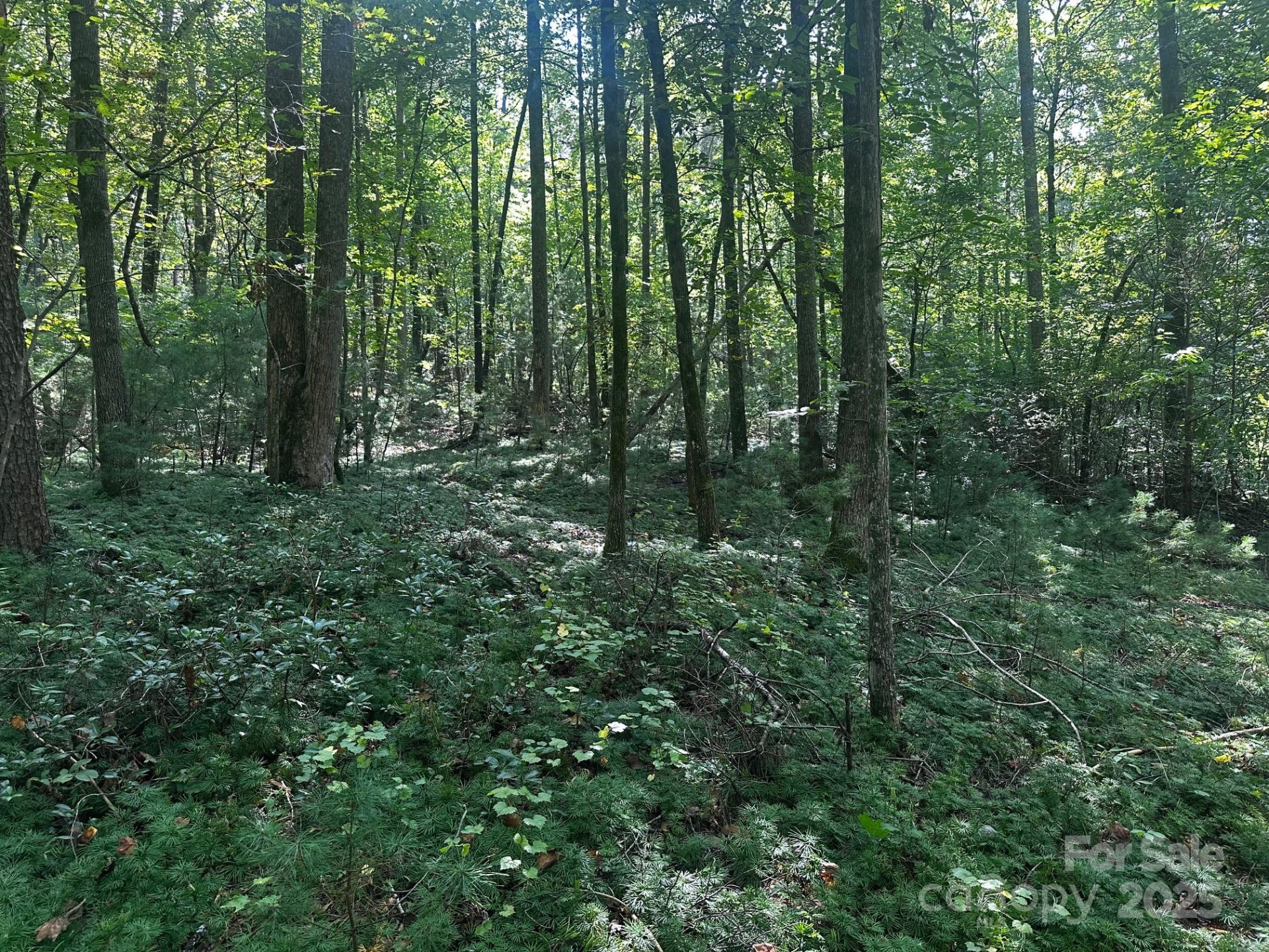 0000 Moss Hill Lane - Photo 17