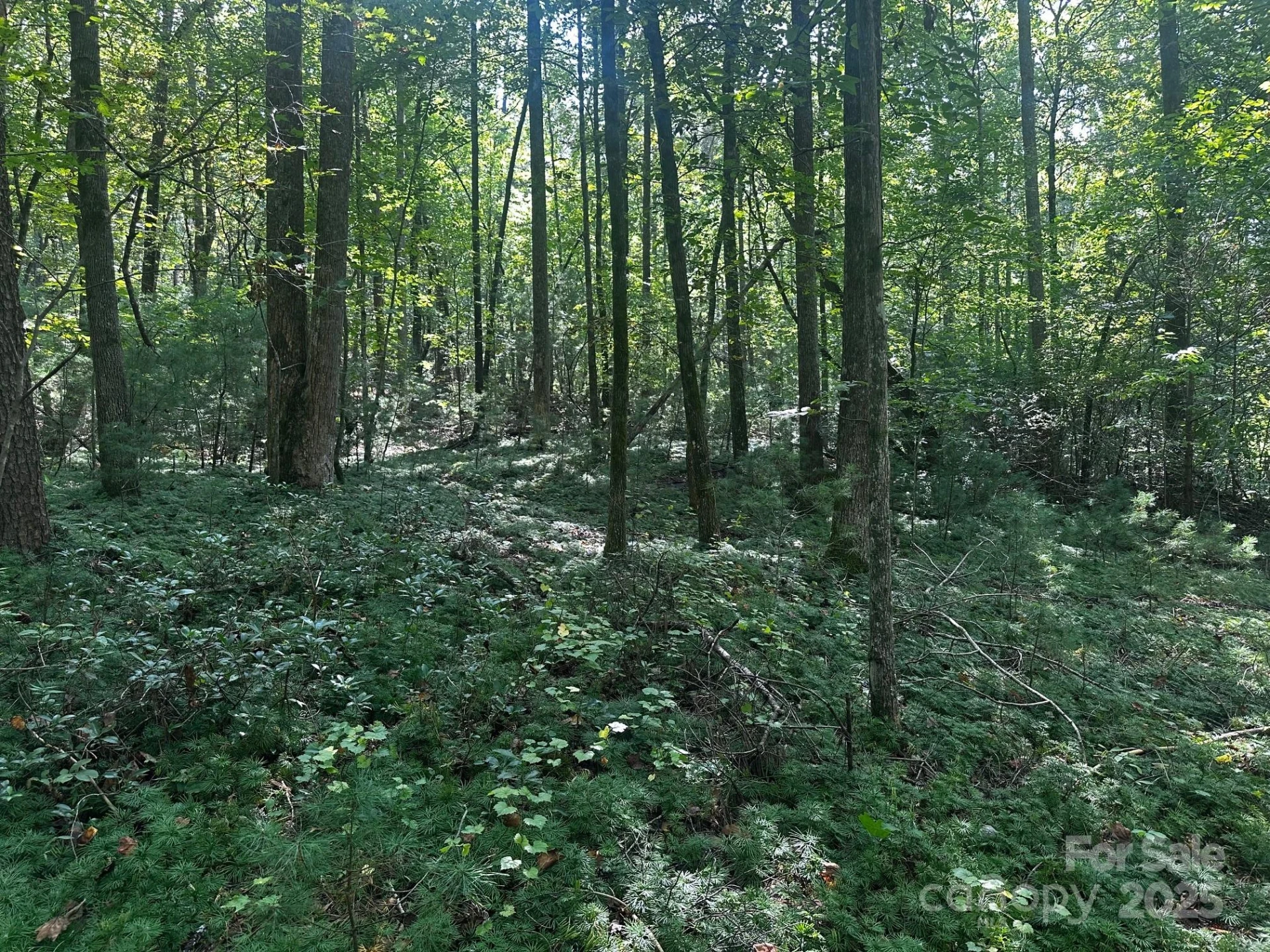 0000 Moss Hill Lane - Photo 17