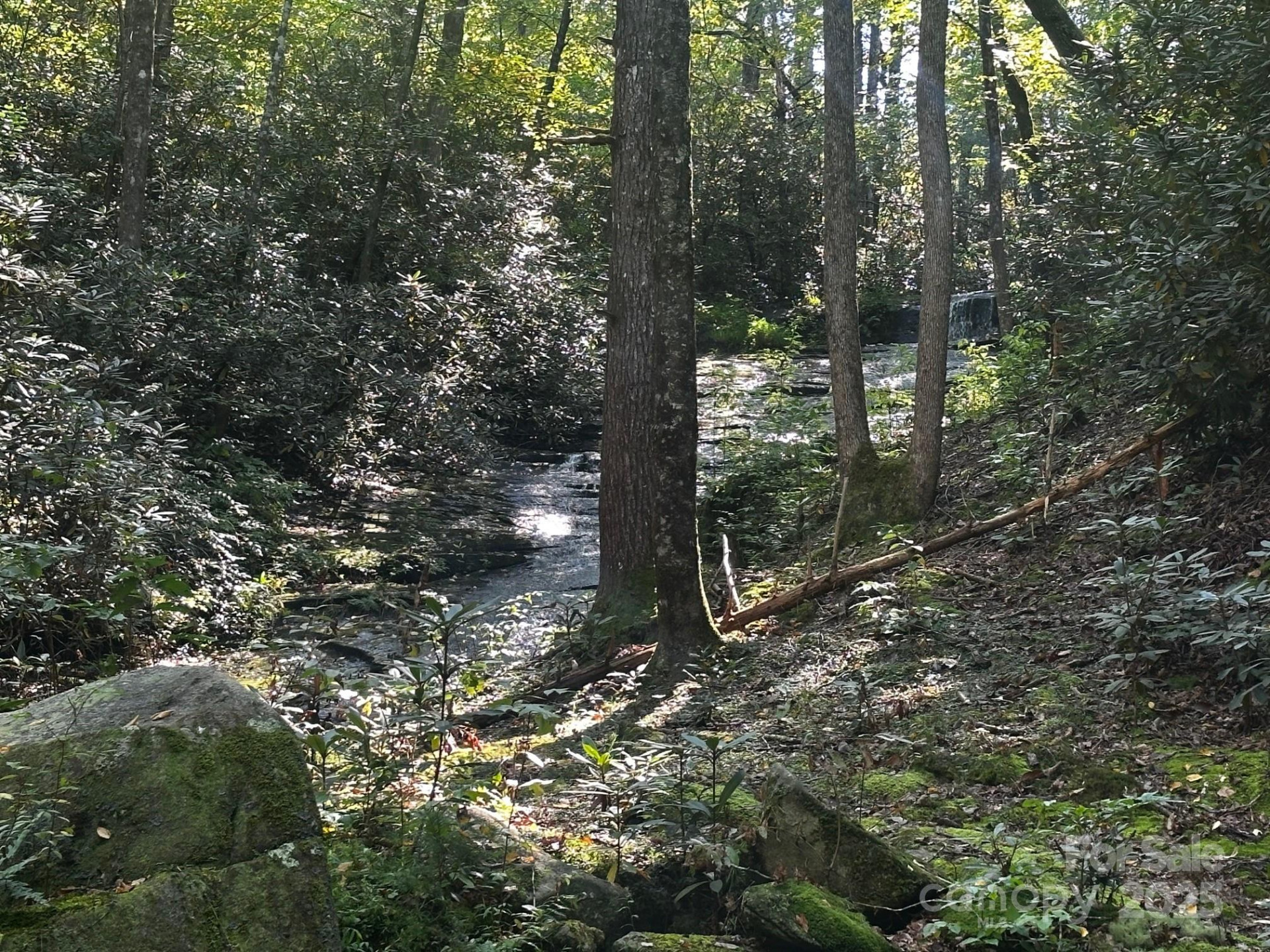 0000 Moss Hill Lane - Photo 18