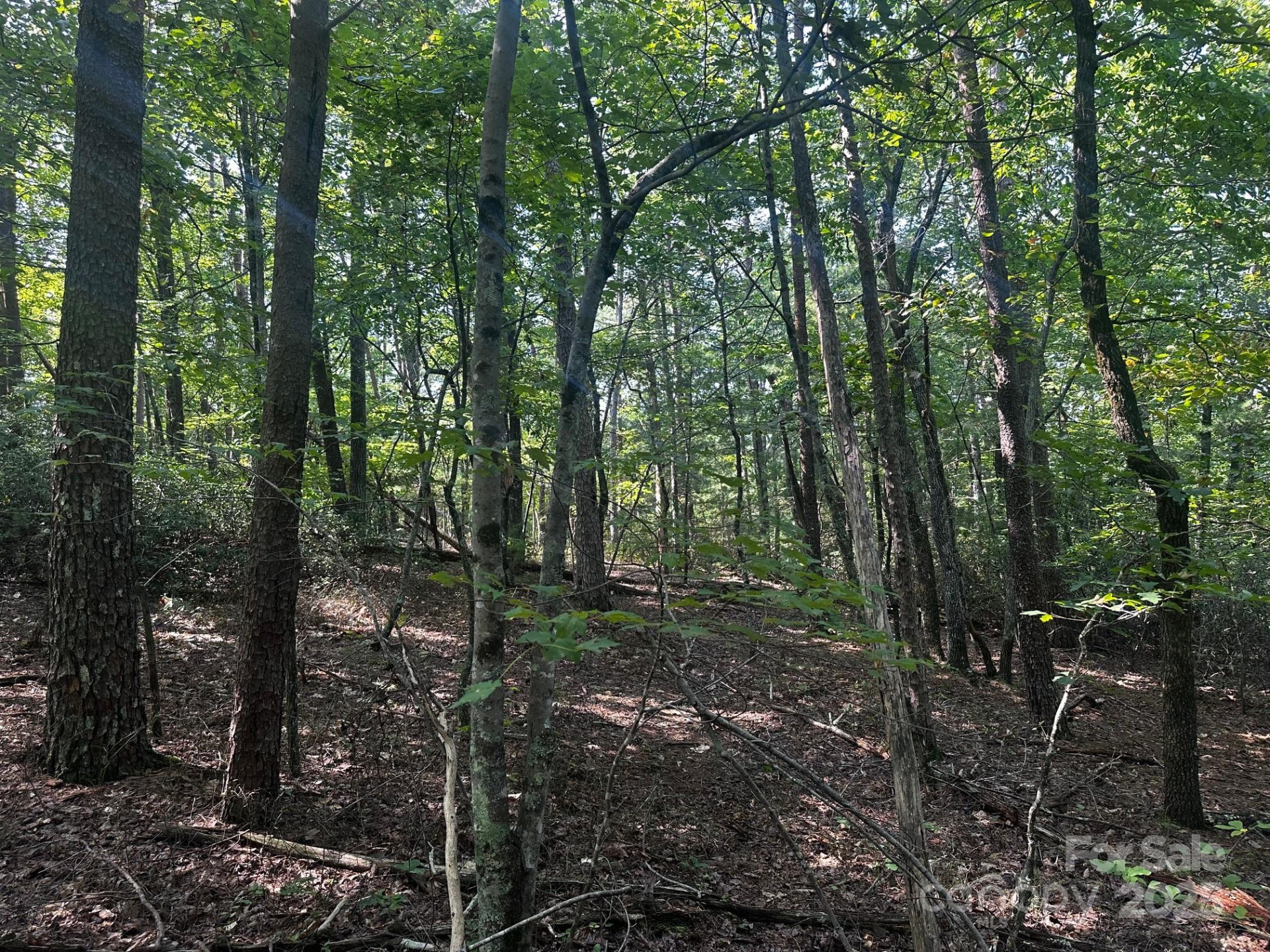 0000 Moss Hill Lane - Photo 19