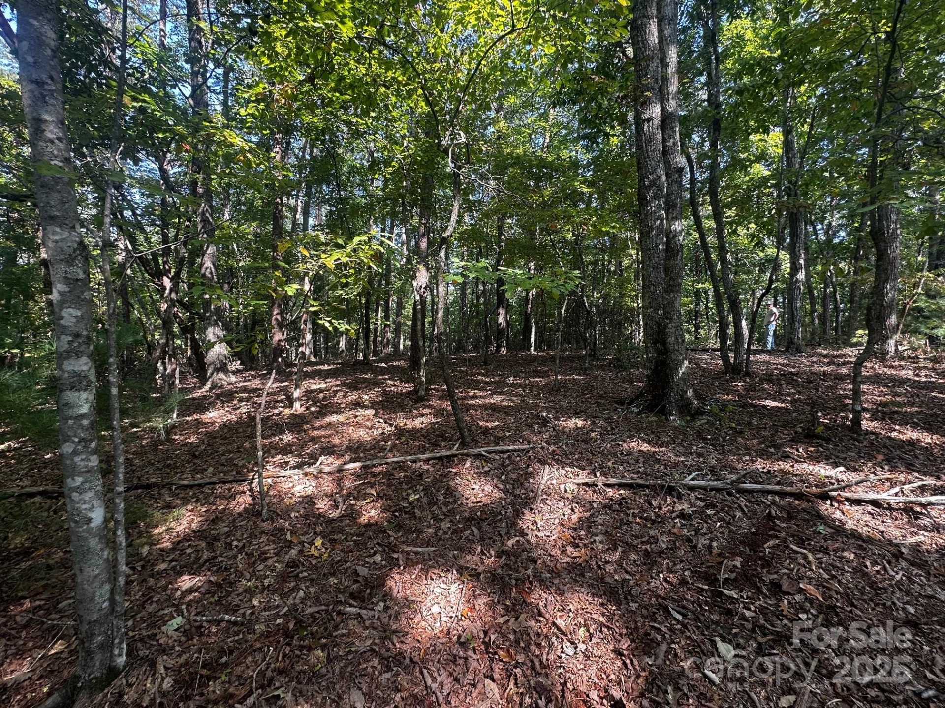 0000 Moss Hill Lane - Photo 20