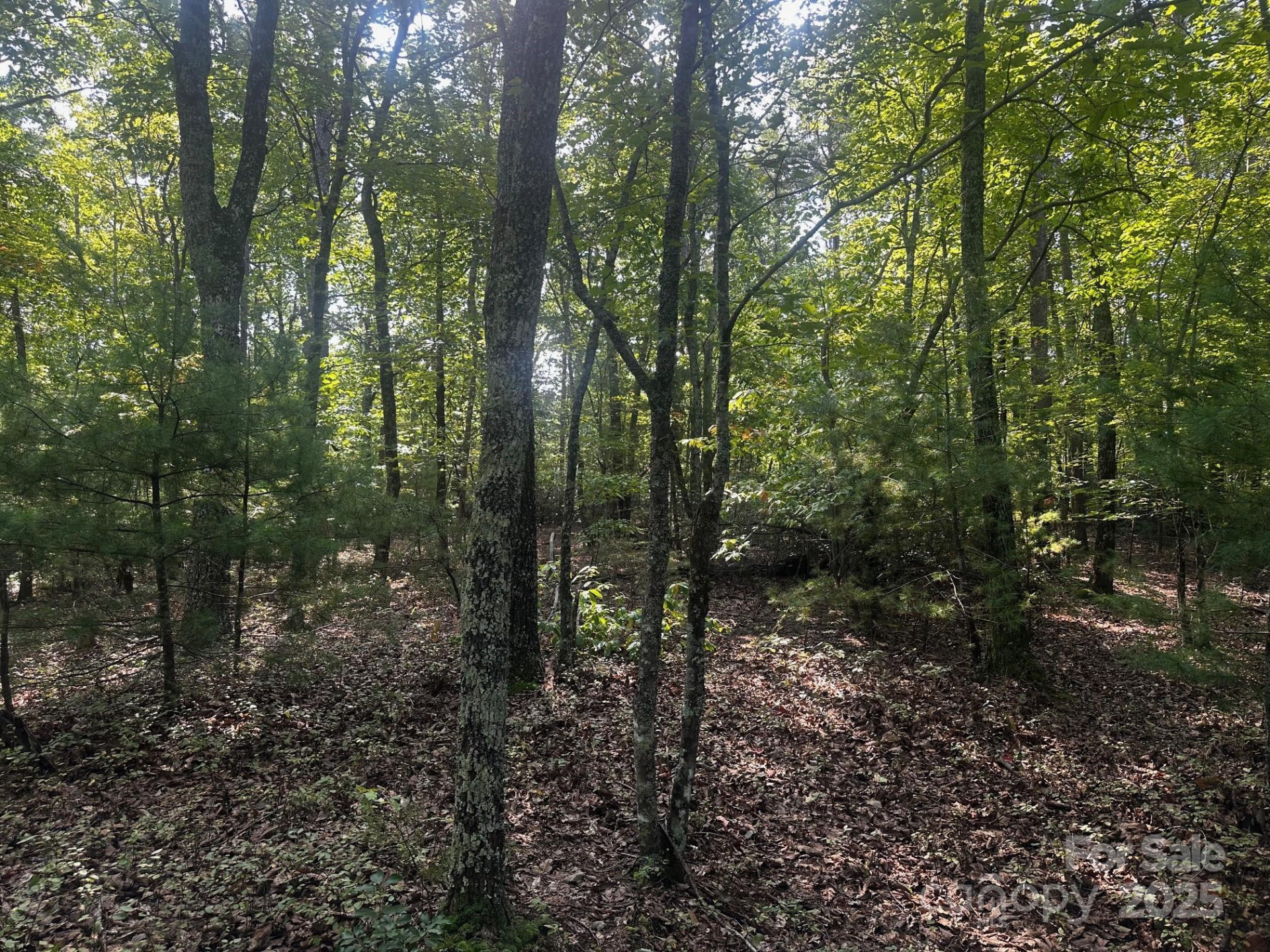 0000 Moss Hill Lane - Photo 21