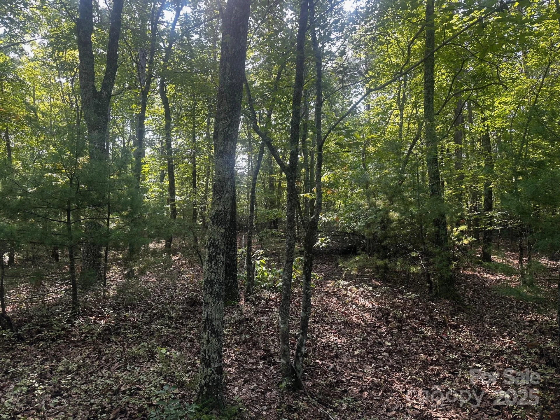 0000 Moss Hill Lane - Photo 21