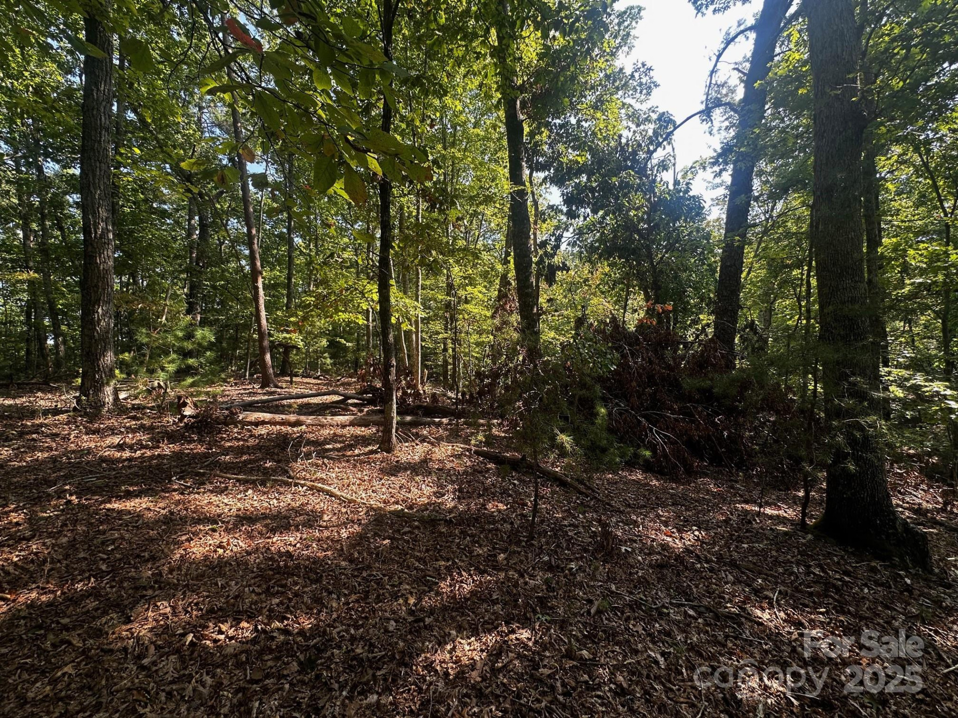 0000 Moss Hill Lane - Photo 22