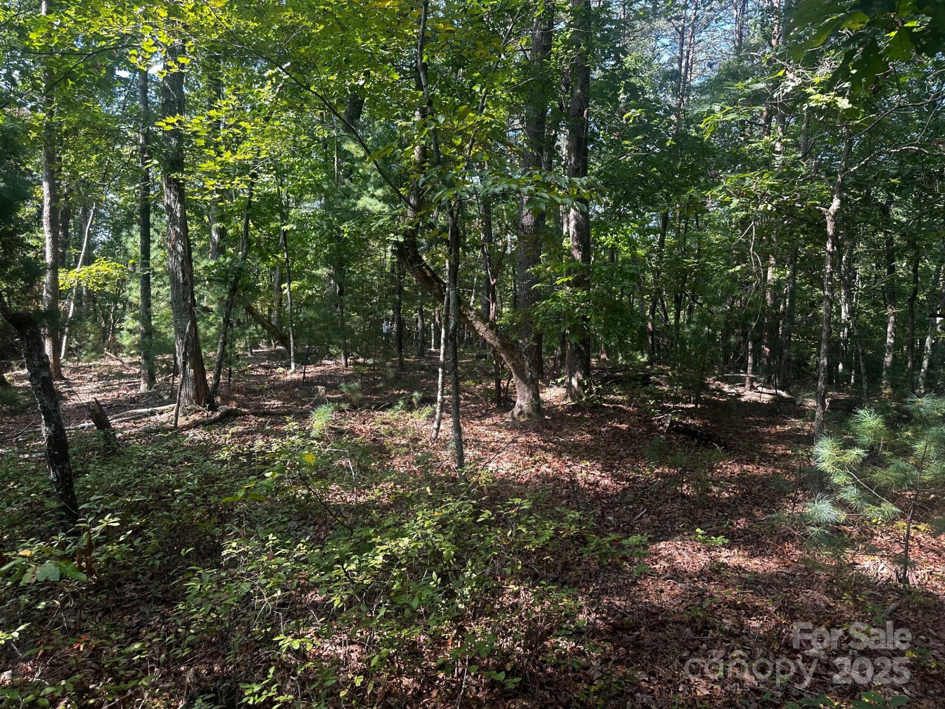 0000 Moss Hill Lane - Photo 23