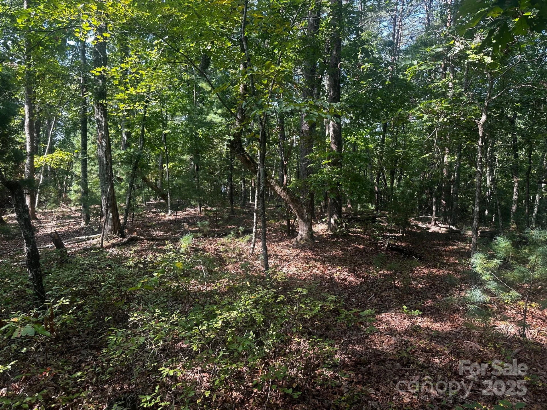 0000 Moss Hill Lane - Photo 23