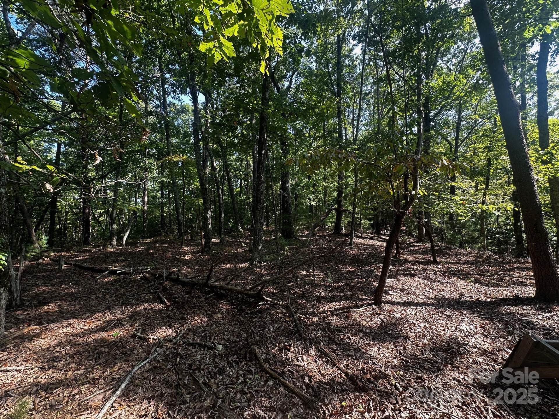 0000 Moss Hill Lane - Photo 24