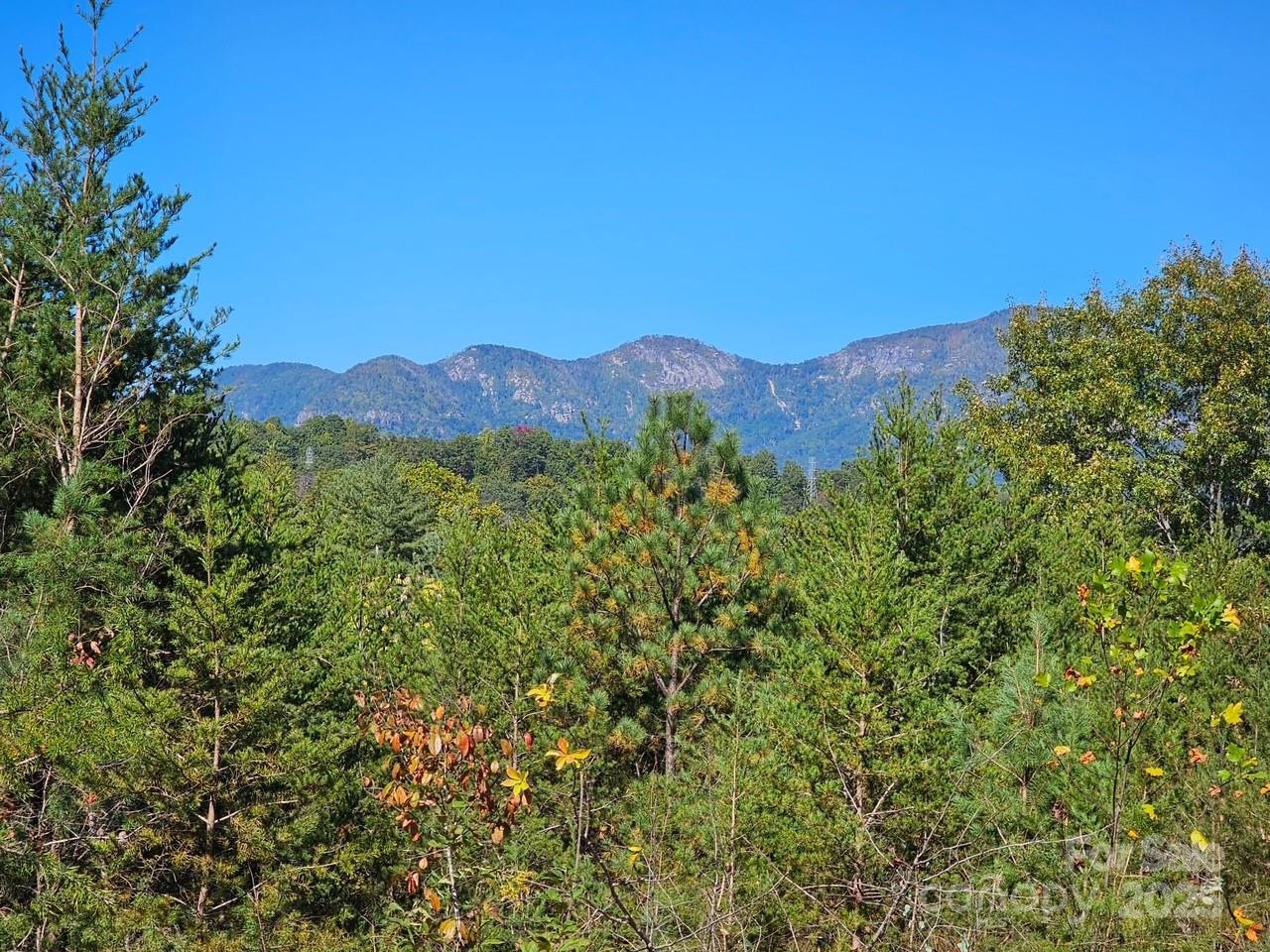 0000 Moss Hill Lane - Photo 4