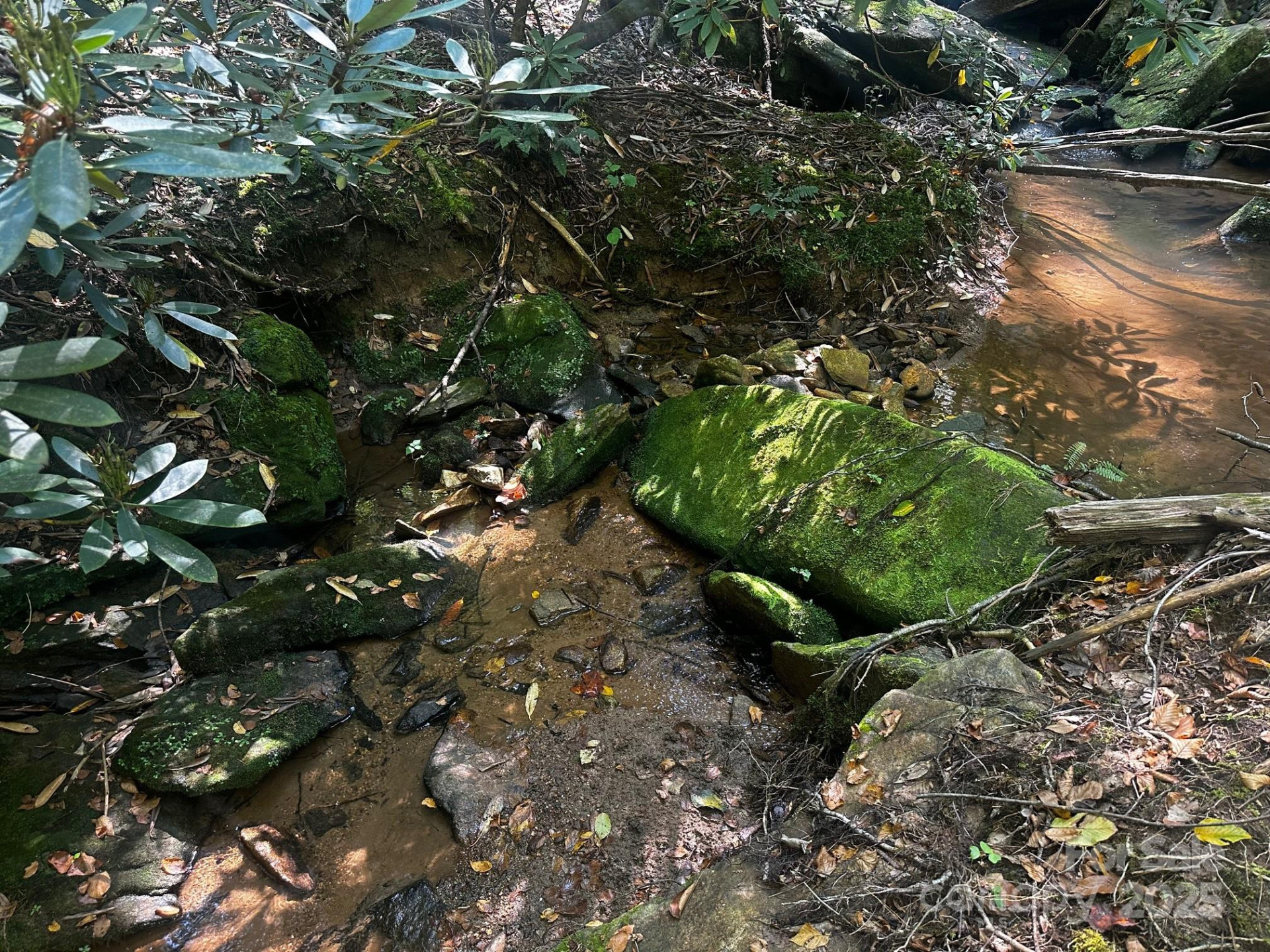 0000 Moss Hill Lane - Photo 5