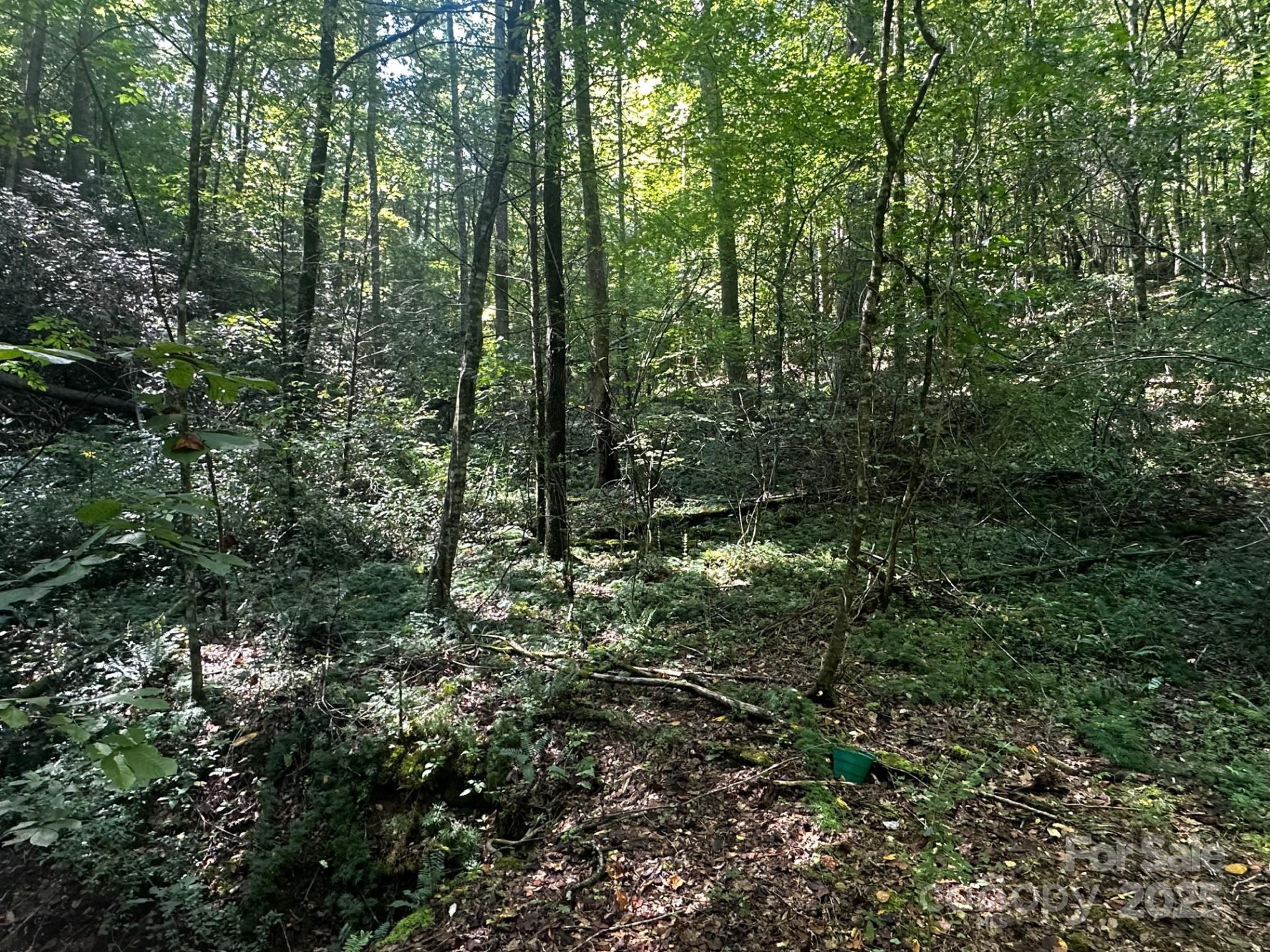 0000 Moss Hill Lane - Photo 6