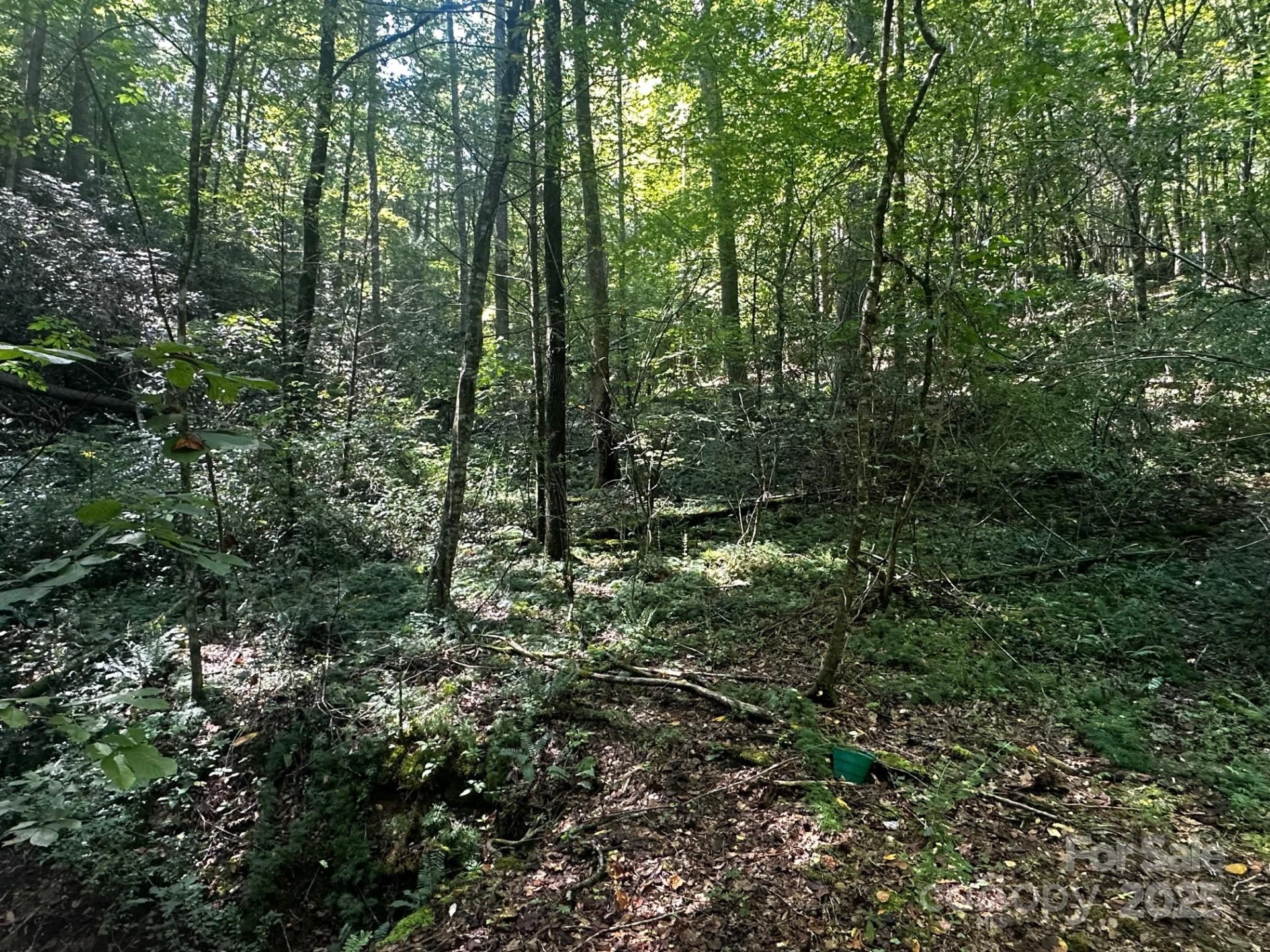 0000 Moss Hill Lane - Photo 6