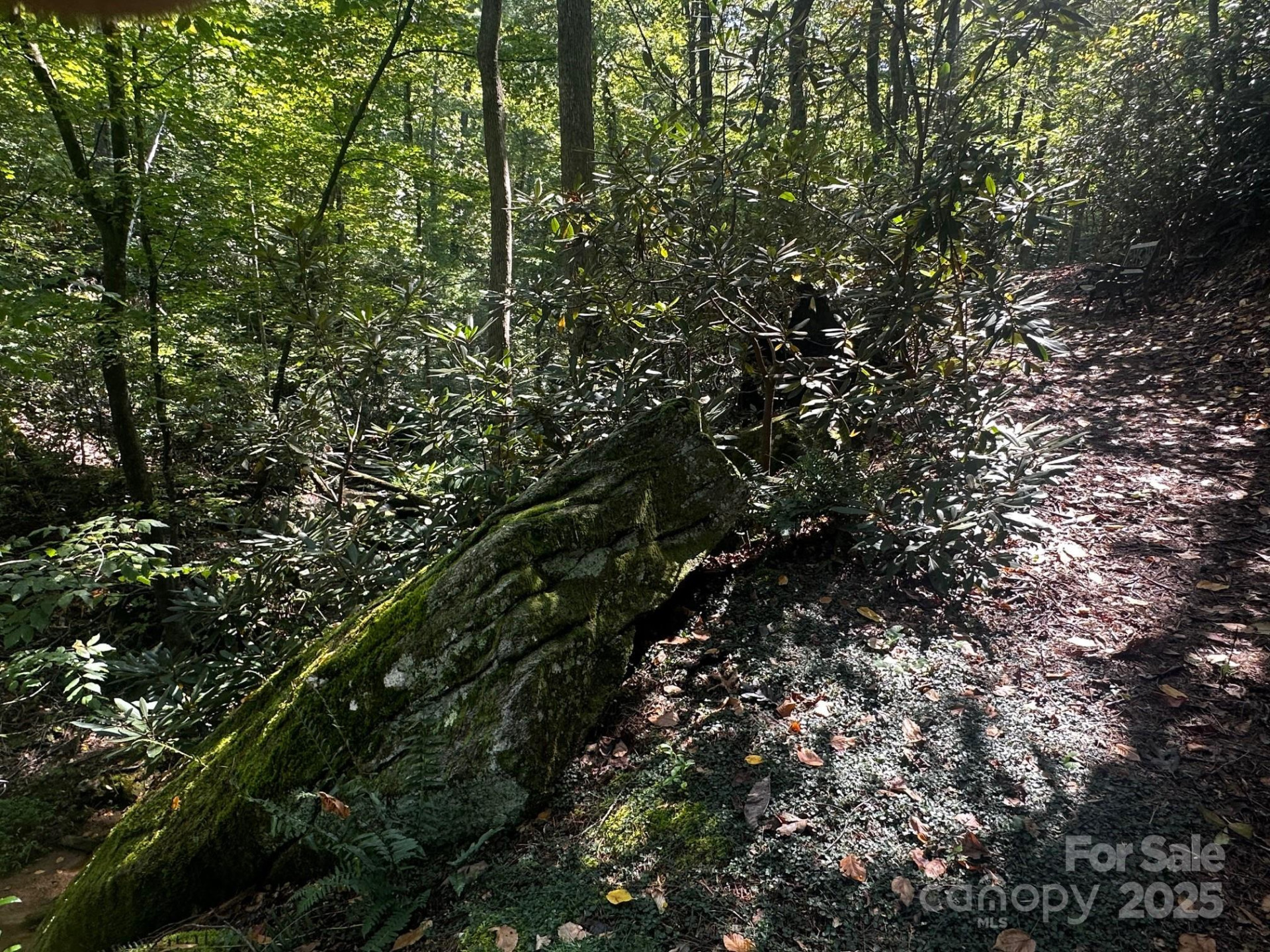 0000 Moss Hill Lane - Photo 7