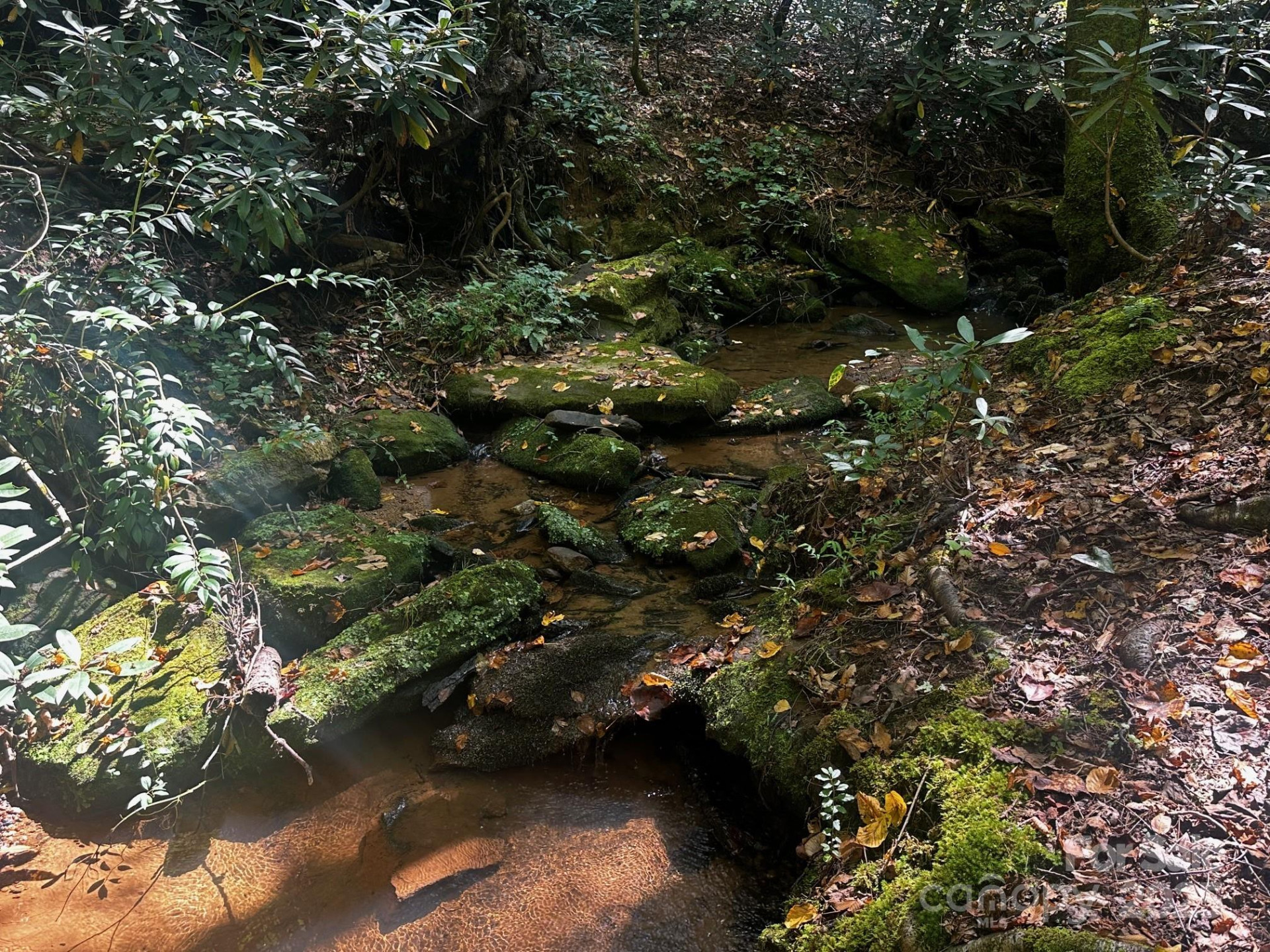 0000 Moss Hill Lane - Photo 8