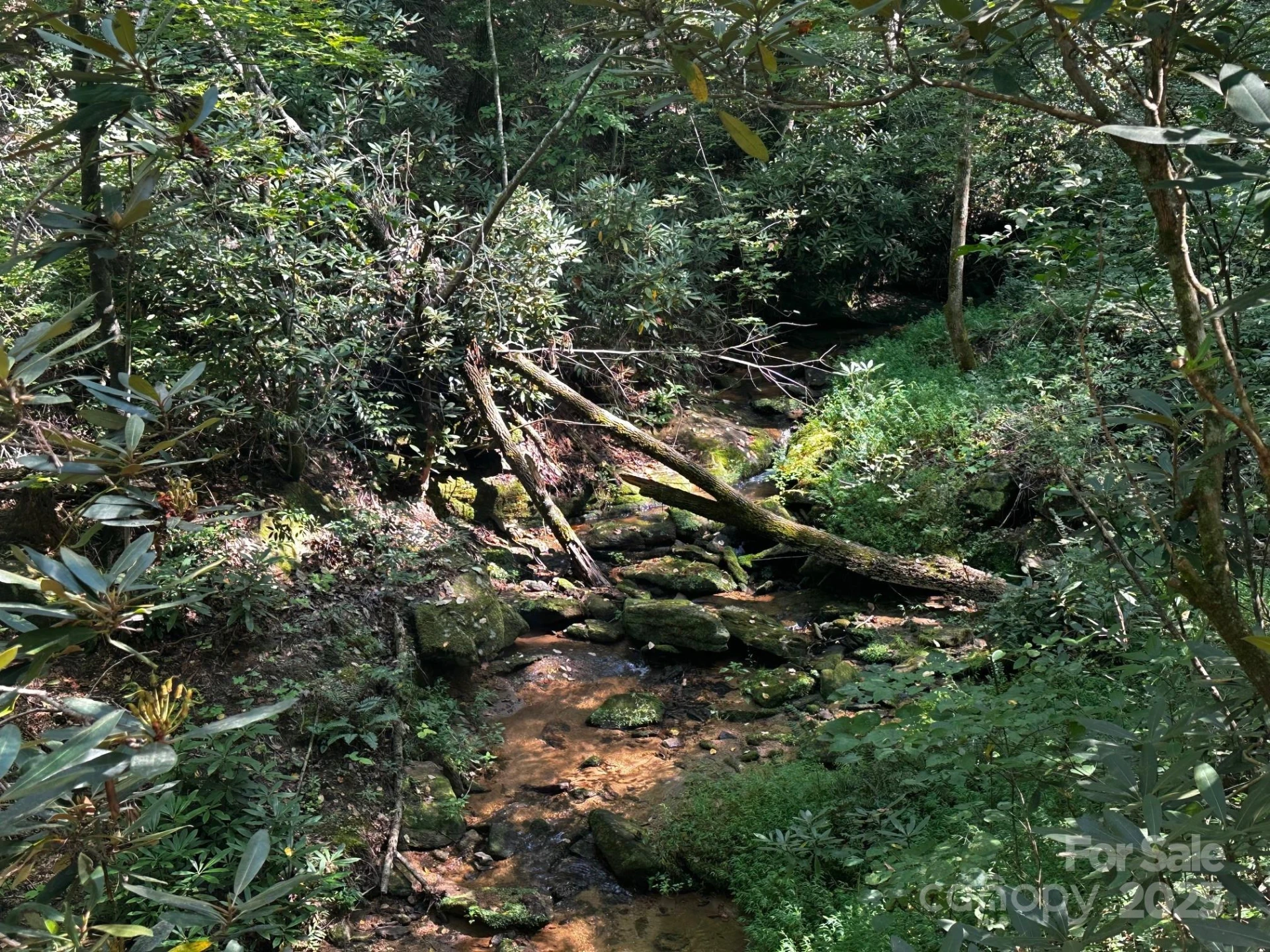 0000 Moss Hill Lane - Photo 9