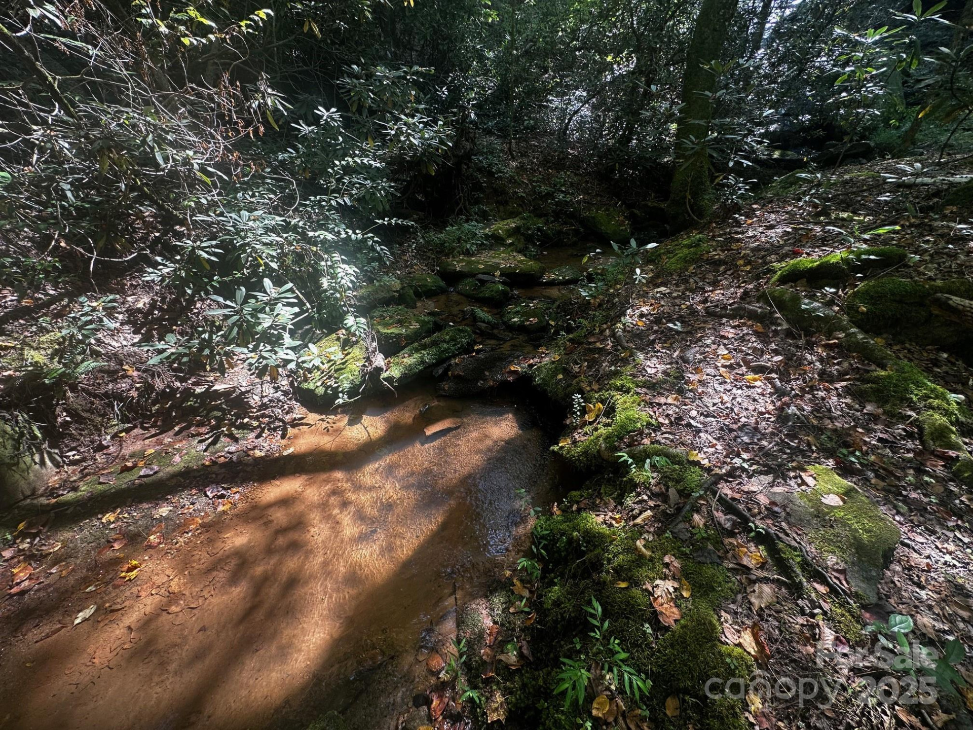 0000 Moss Hill Lane - Photo 10