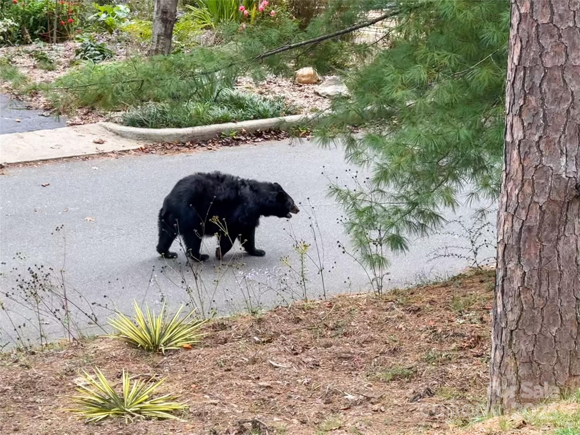 351 Windsor Road - Photo 42