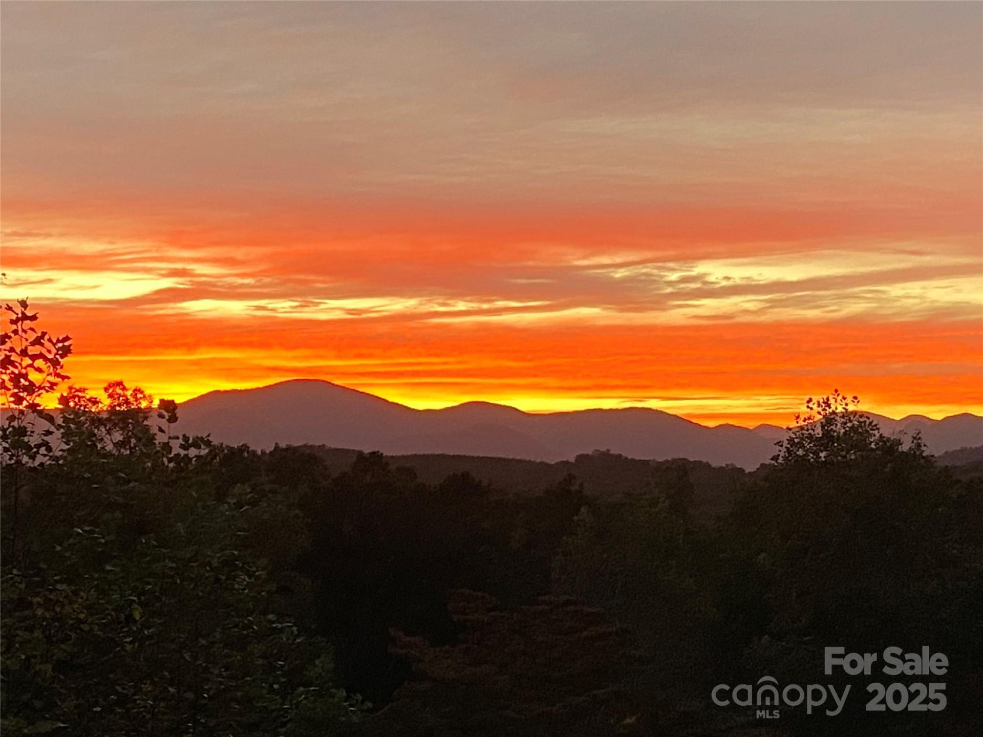 167 Balfour Drive - Photo 3