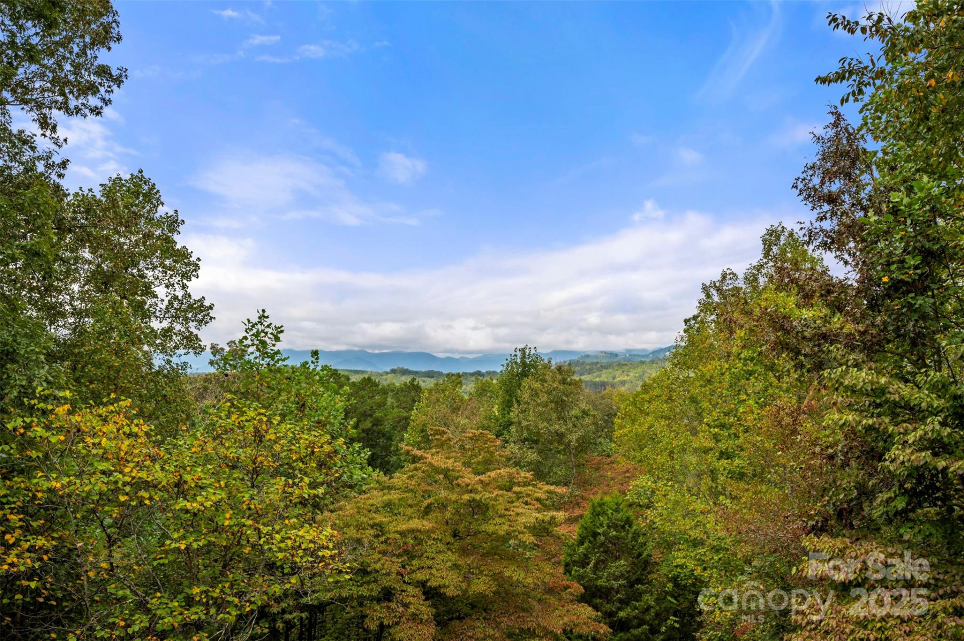 167 Balfour Drive - Photo 23