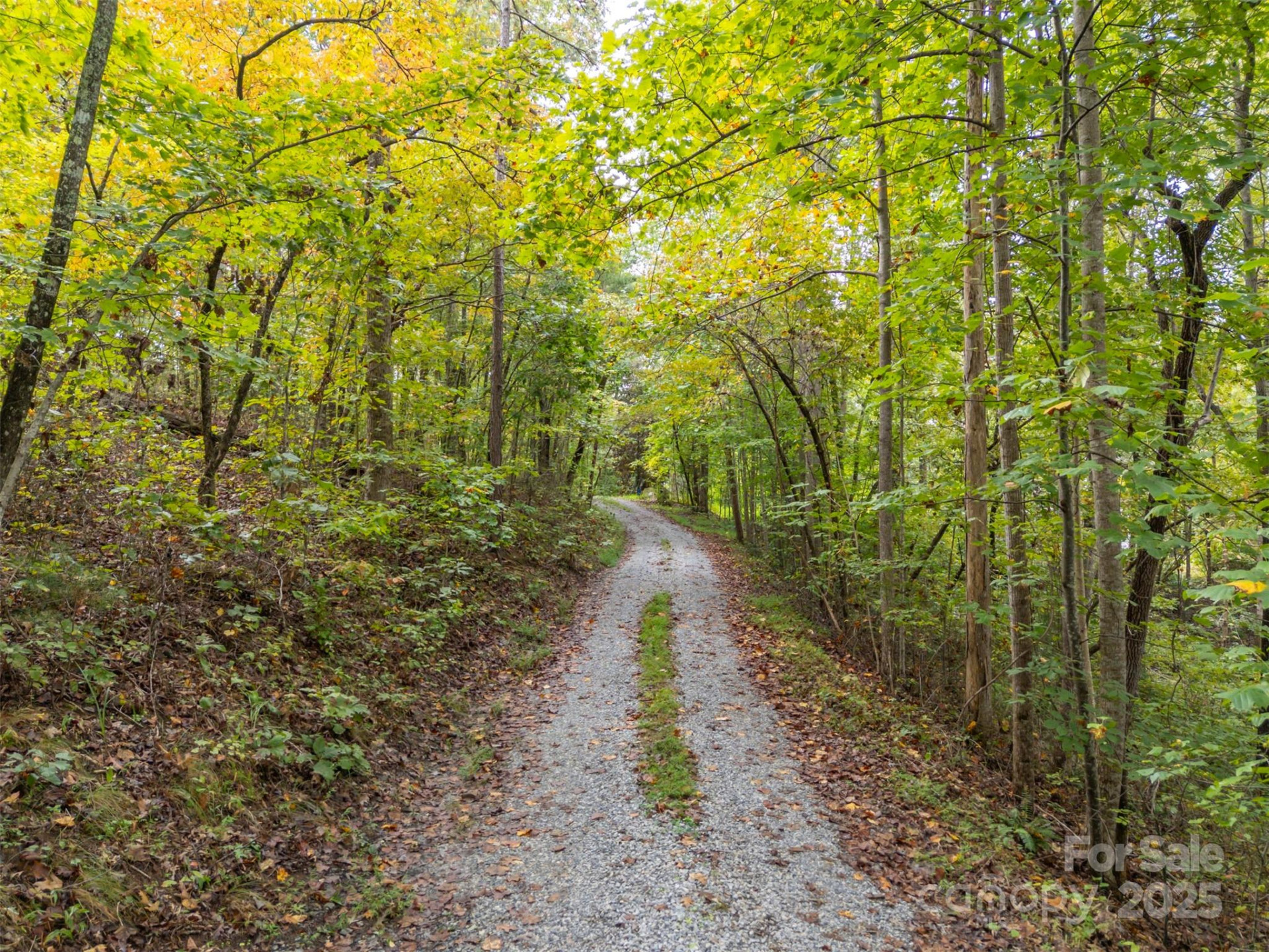 167 Balfour Drive - Photo 5