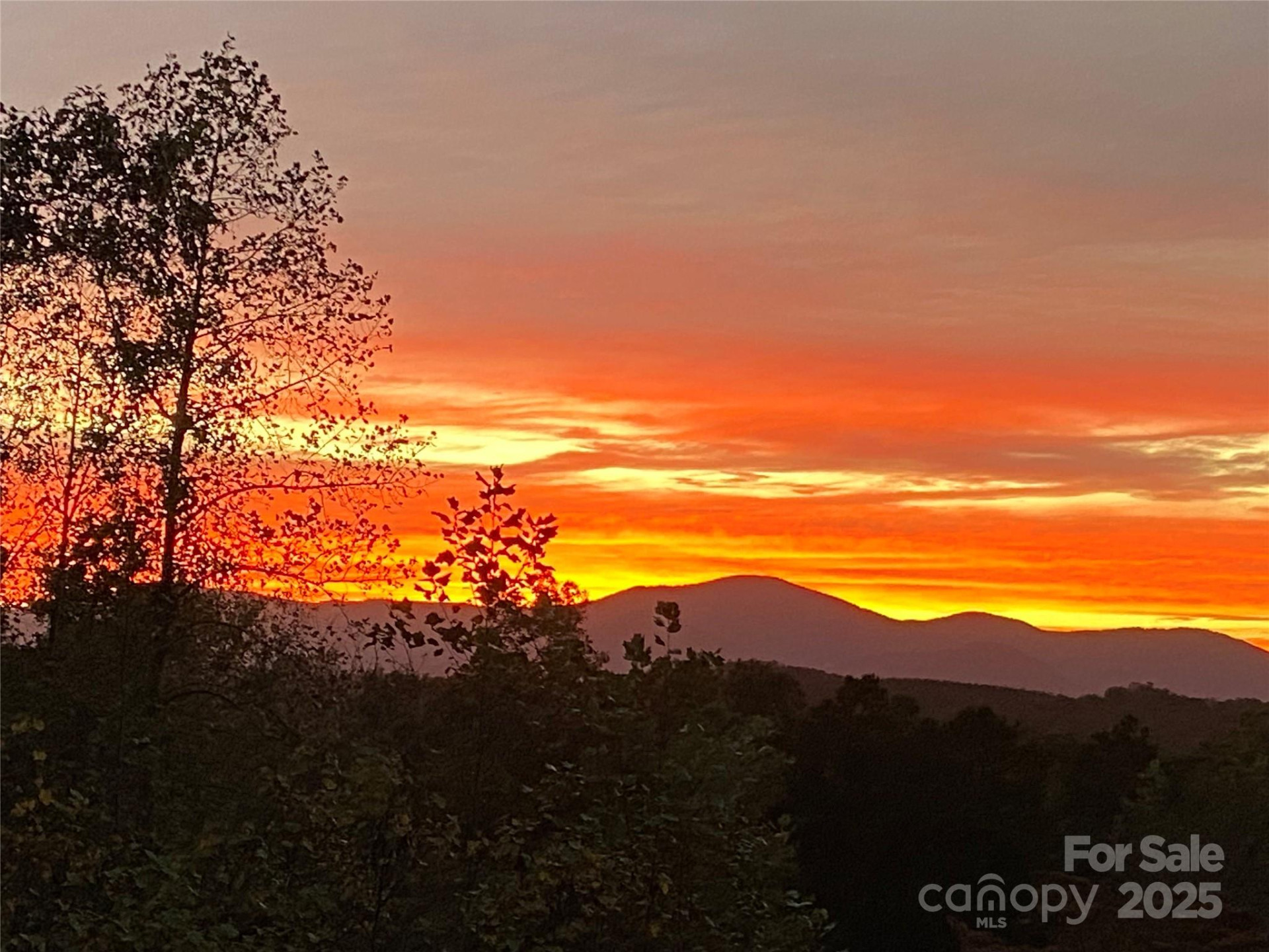 167 Balfour Drive - Photo 48