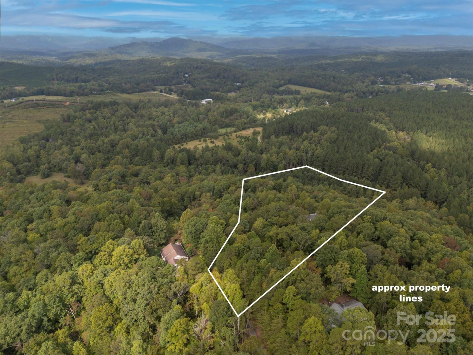 167 Balfour Drive - Photo 6