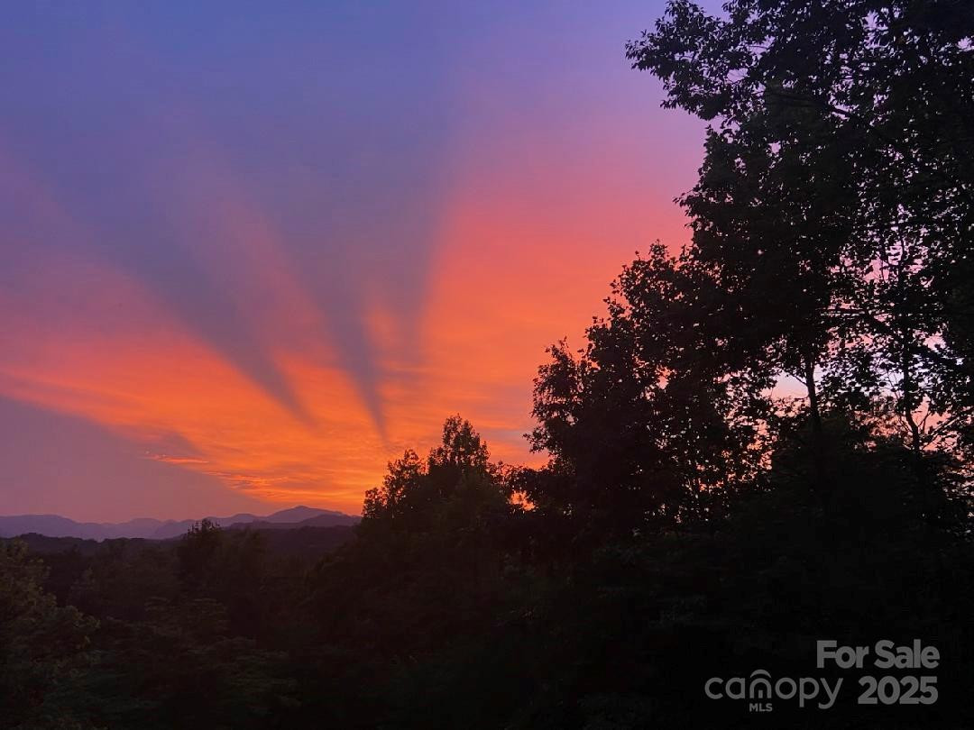 167 Balfour Drive - Photo 8