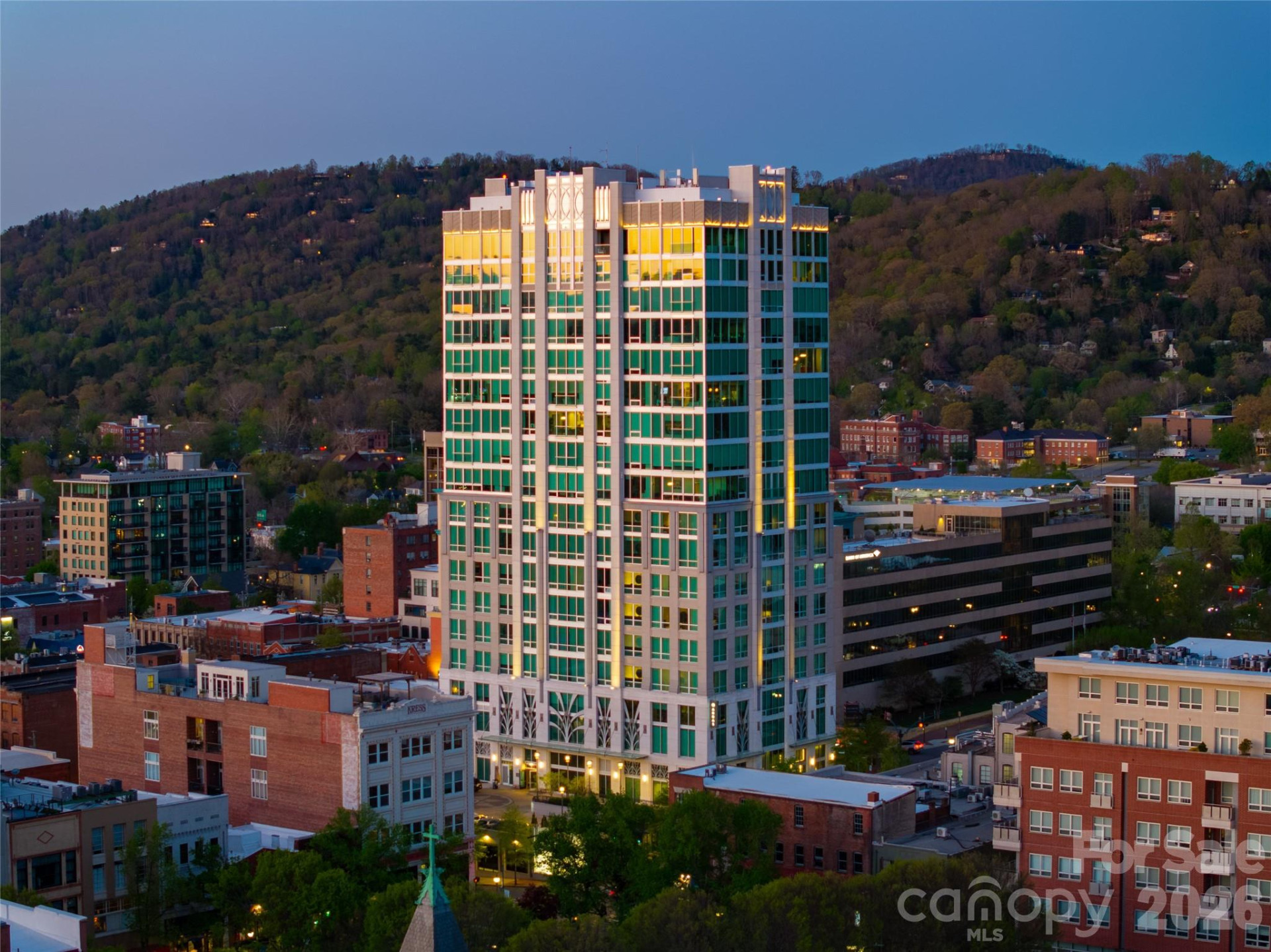 7 Patton Avenue #1207 - Photo 3