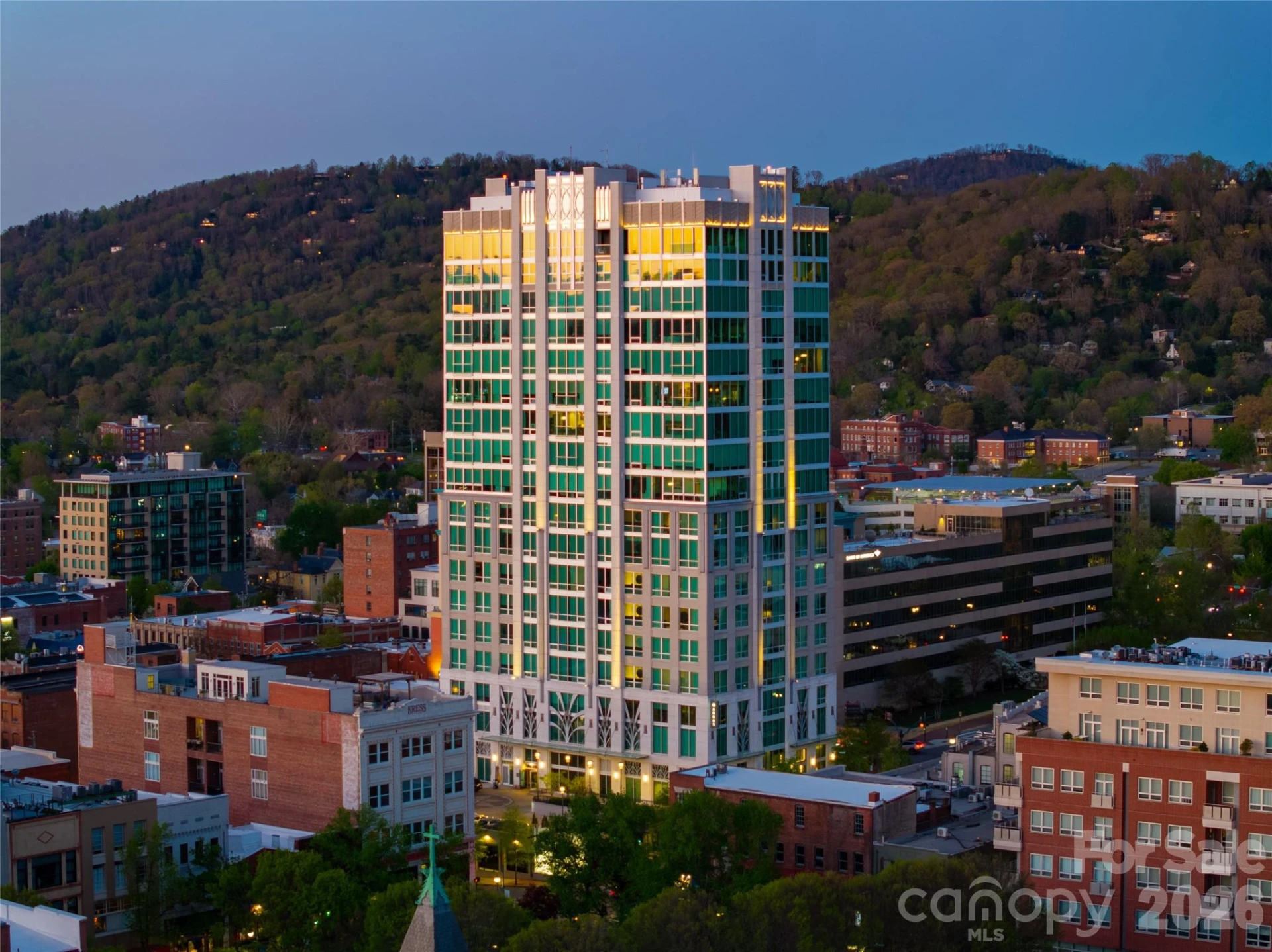7 Patton Avenue #1207 - Photo 3