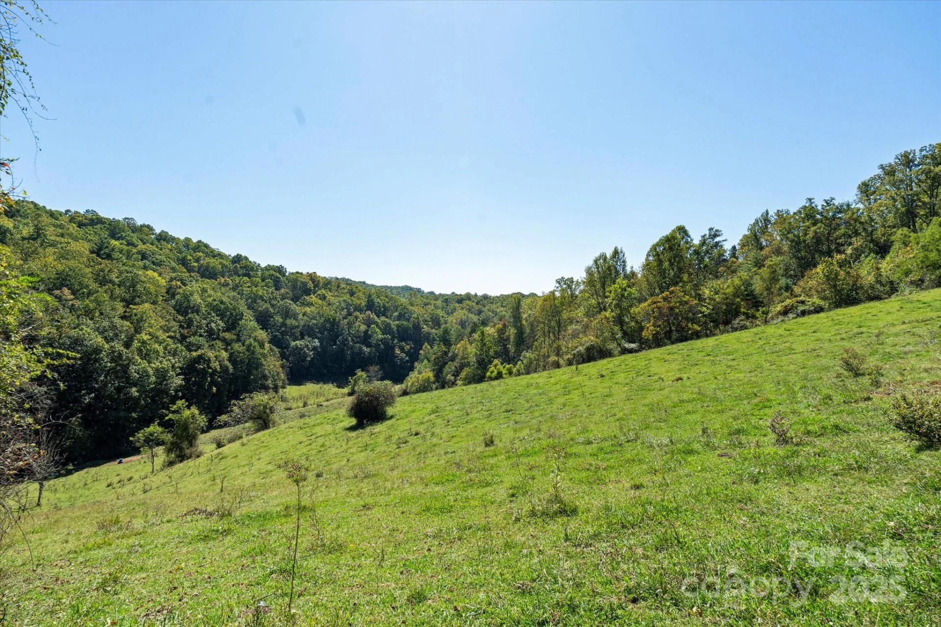 1623 Ammons Branch Road - Photo 19