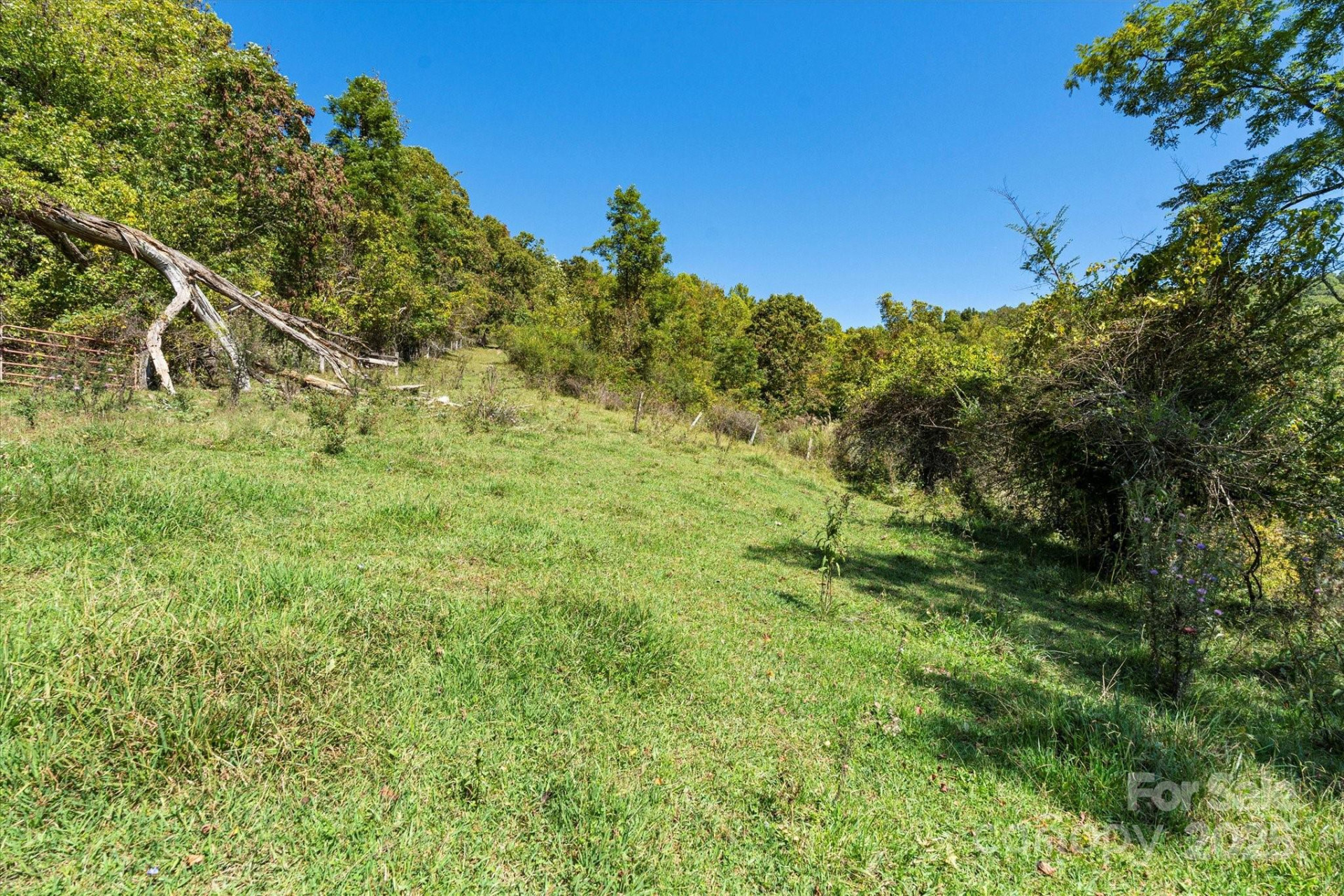 1623 Ammons Branch Road - Photo 20