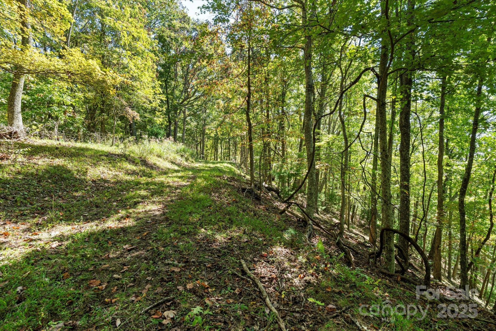 1623 Ammons Branch Road - Photo 25