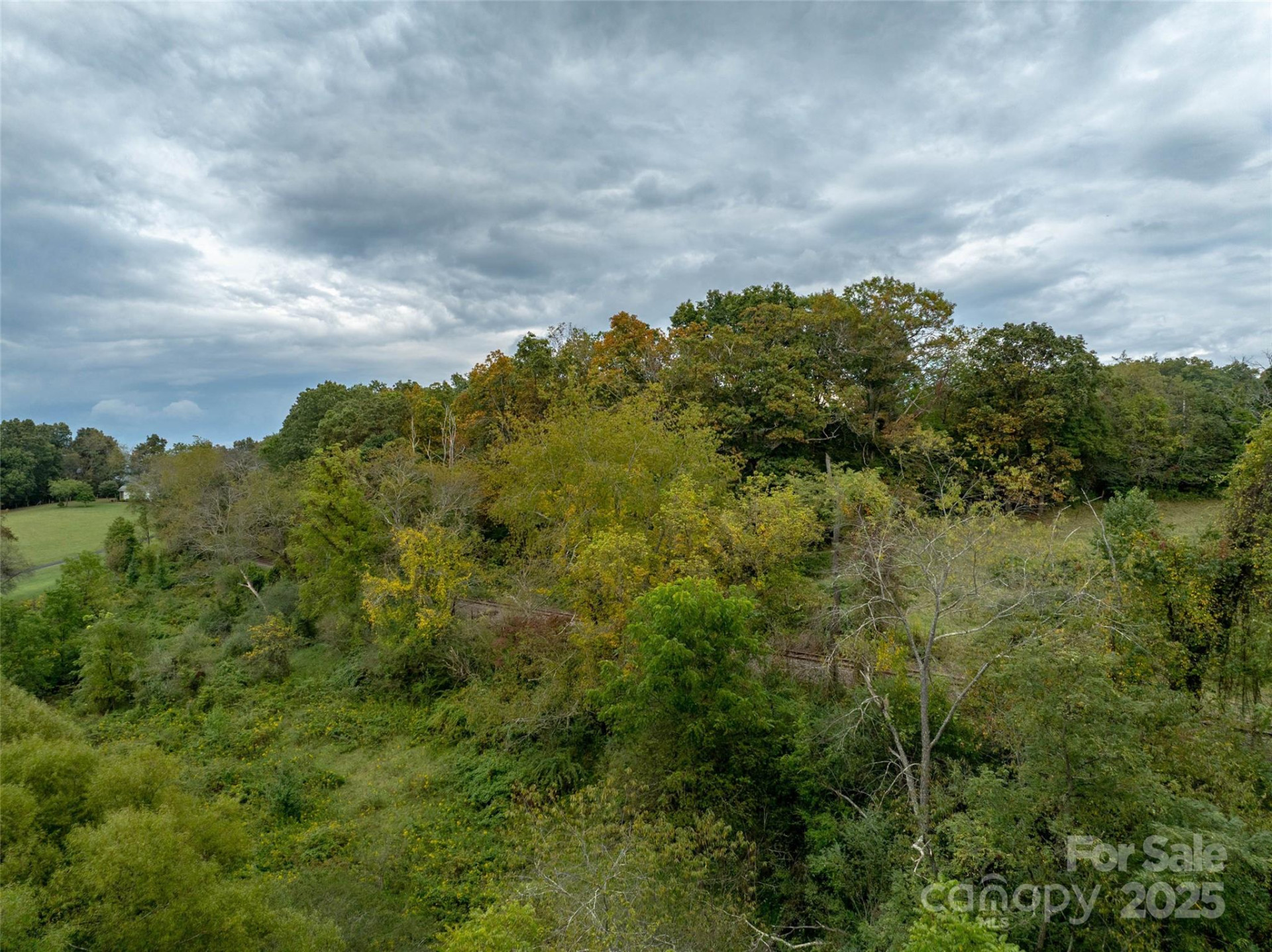 99999 Old Clyde Road - Photo 11