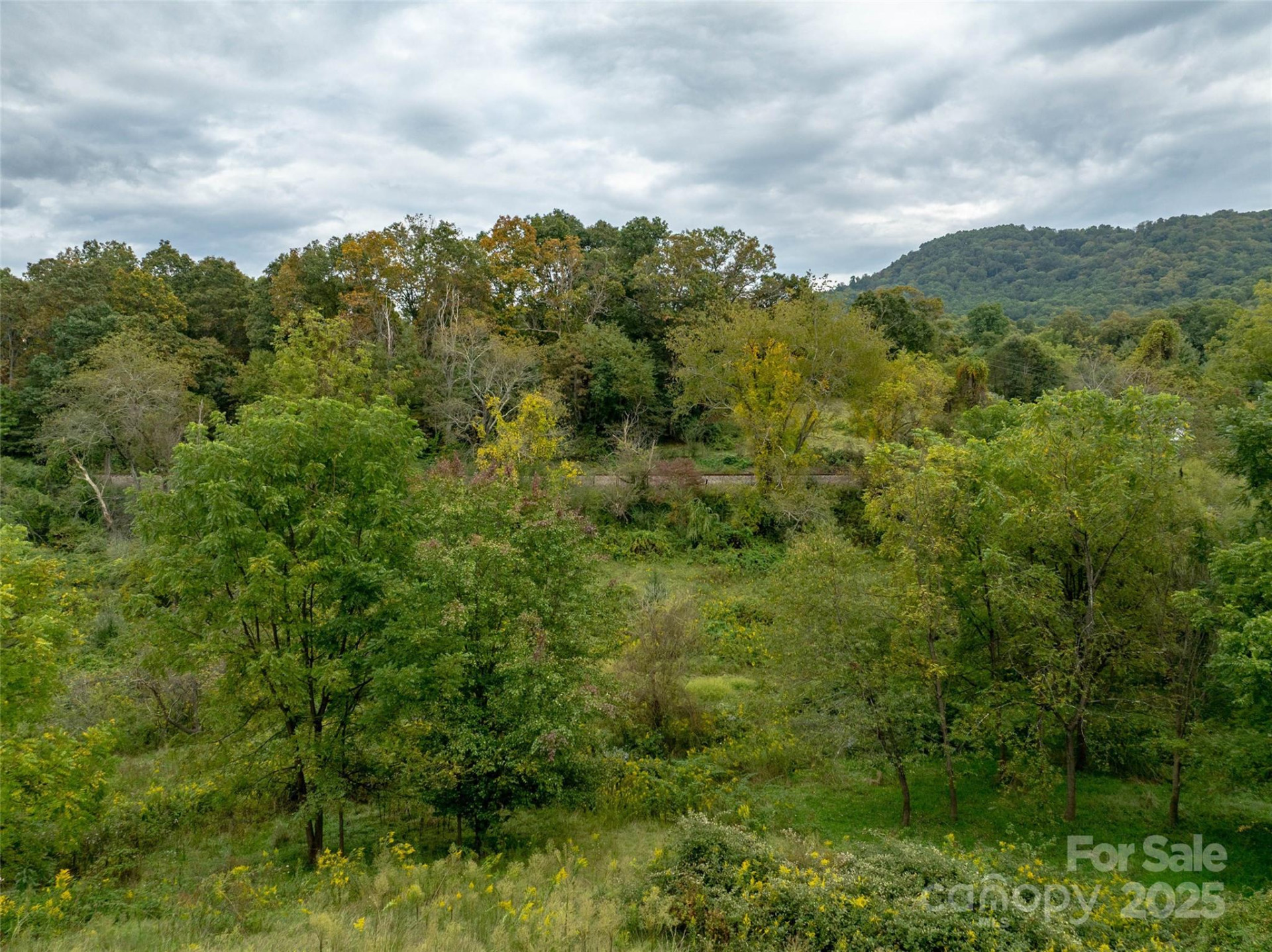 99999 Old Clyde Road - Photo 12