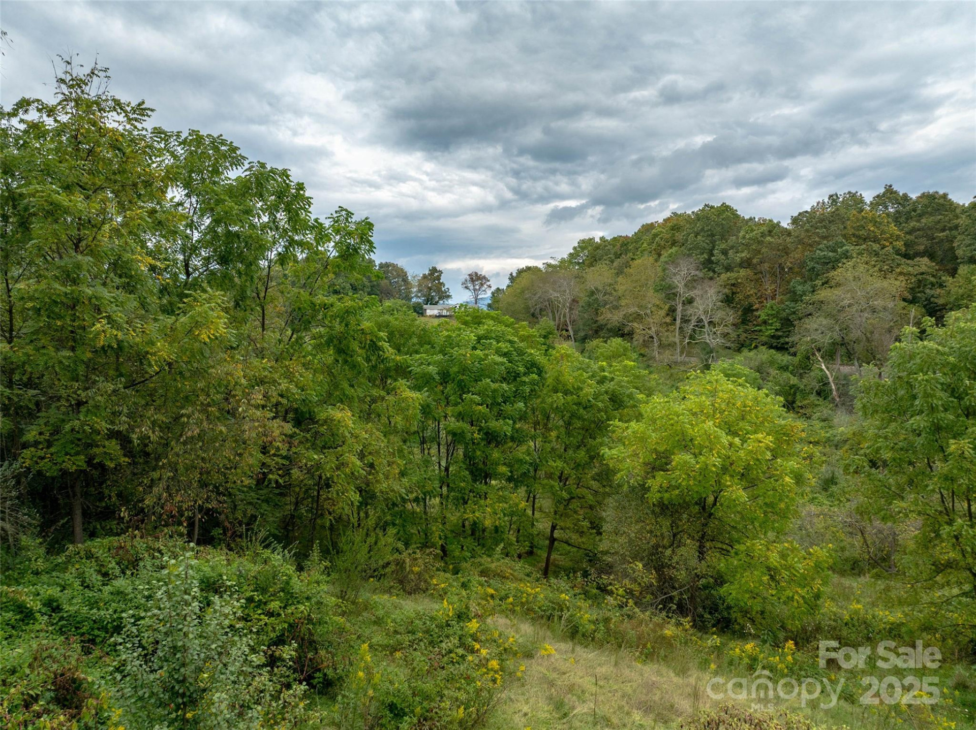 99999 Old Clyde Road - Photo 13