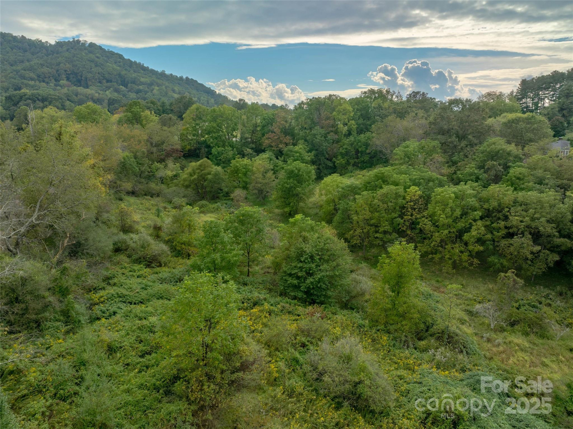 99999 Old Clyde Road - Photo 3