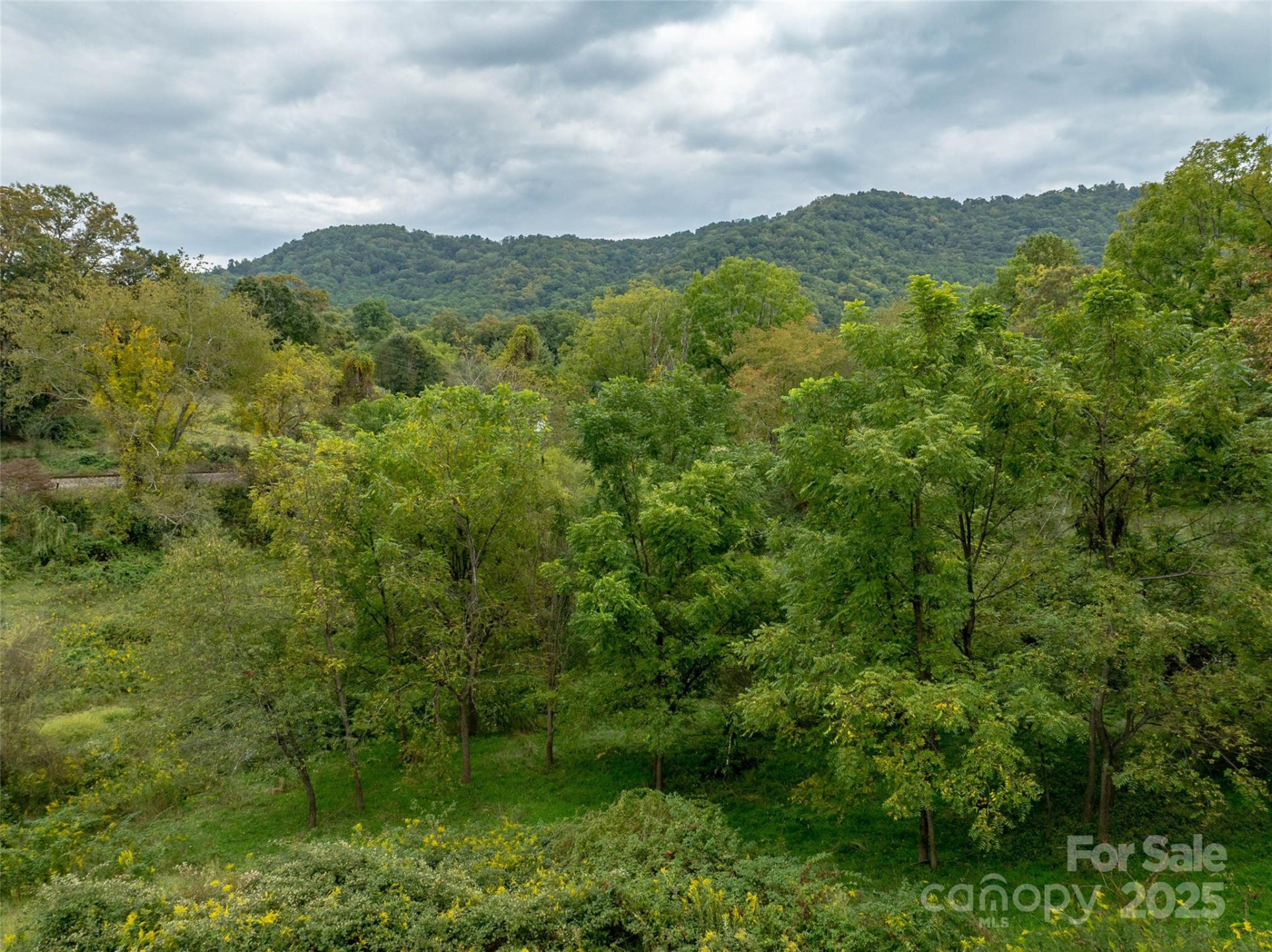 99999 Old Clyde Road - Photo 4