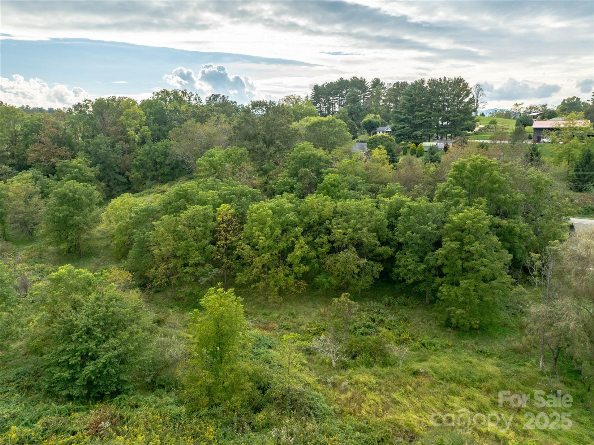 99999 Old Clyde Road - Photo 5