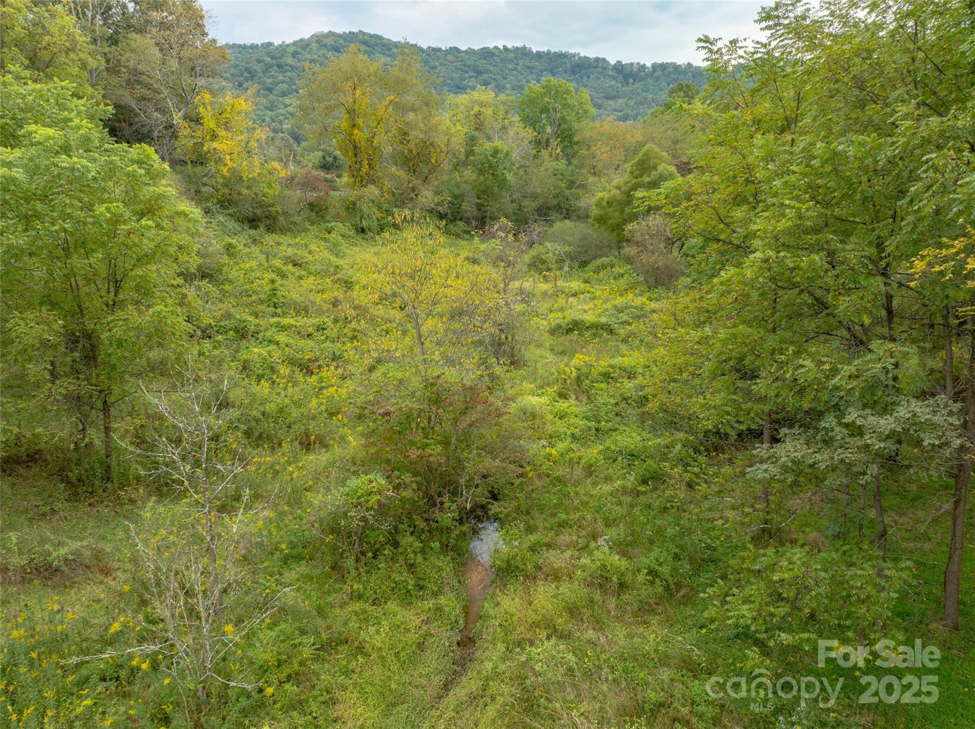 99999 Old Clyde Road - Photo 6