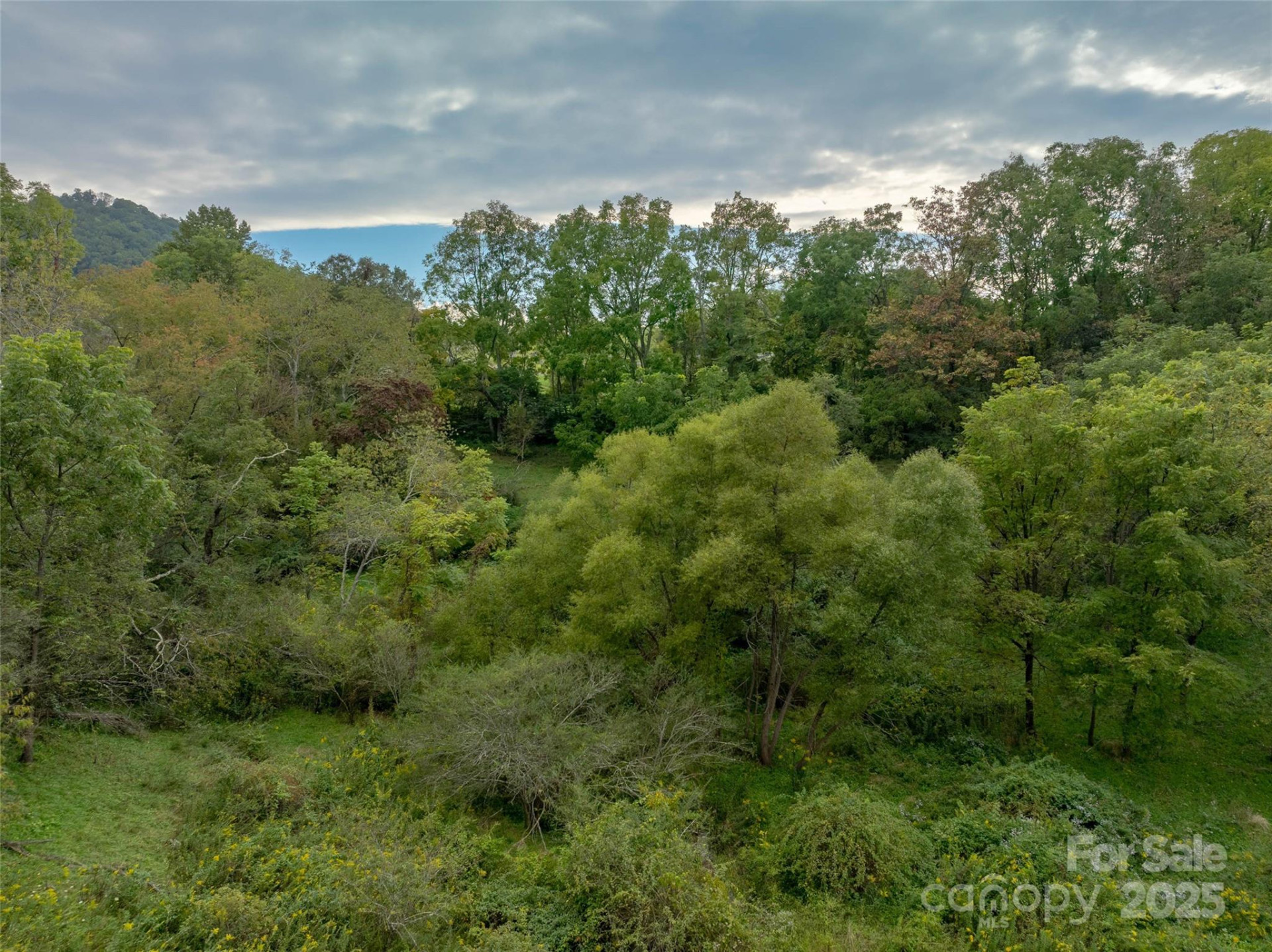 99999 Old Clyde Road - Photo 7