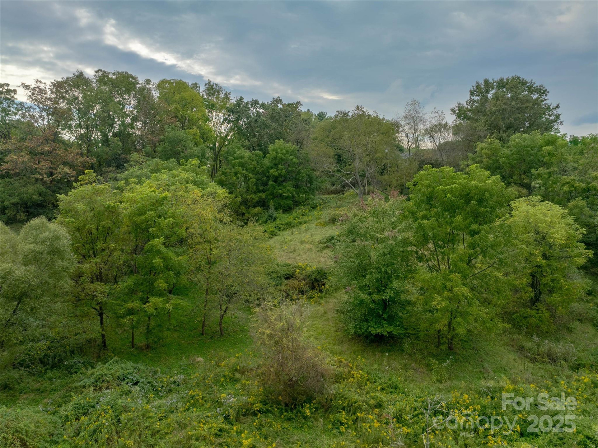 99999 Old Clyde Road - Photo 8