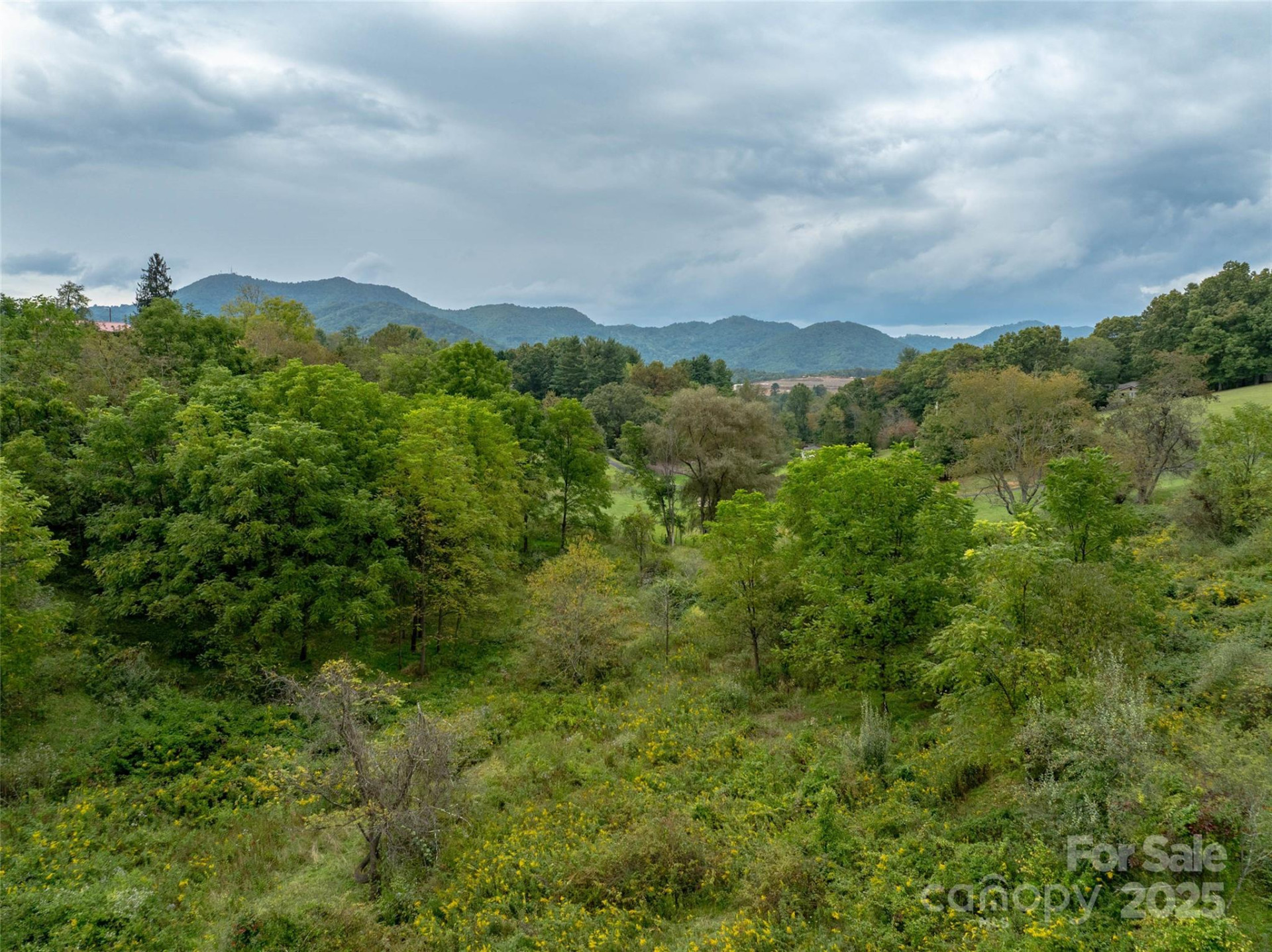 99999 Old Clyde Road - Photo 9