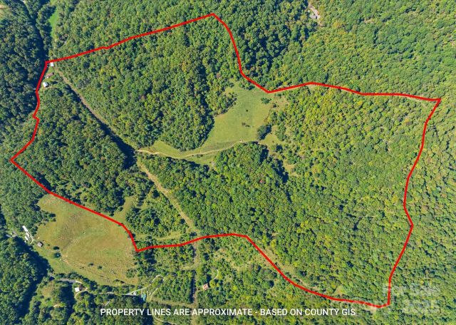 1623 Ammons Branch Road, Marshall, NC, 28753