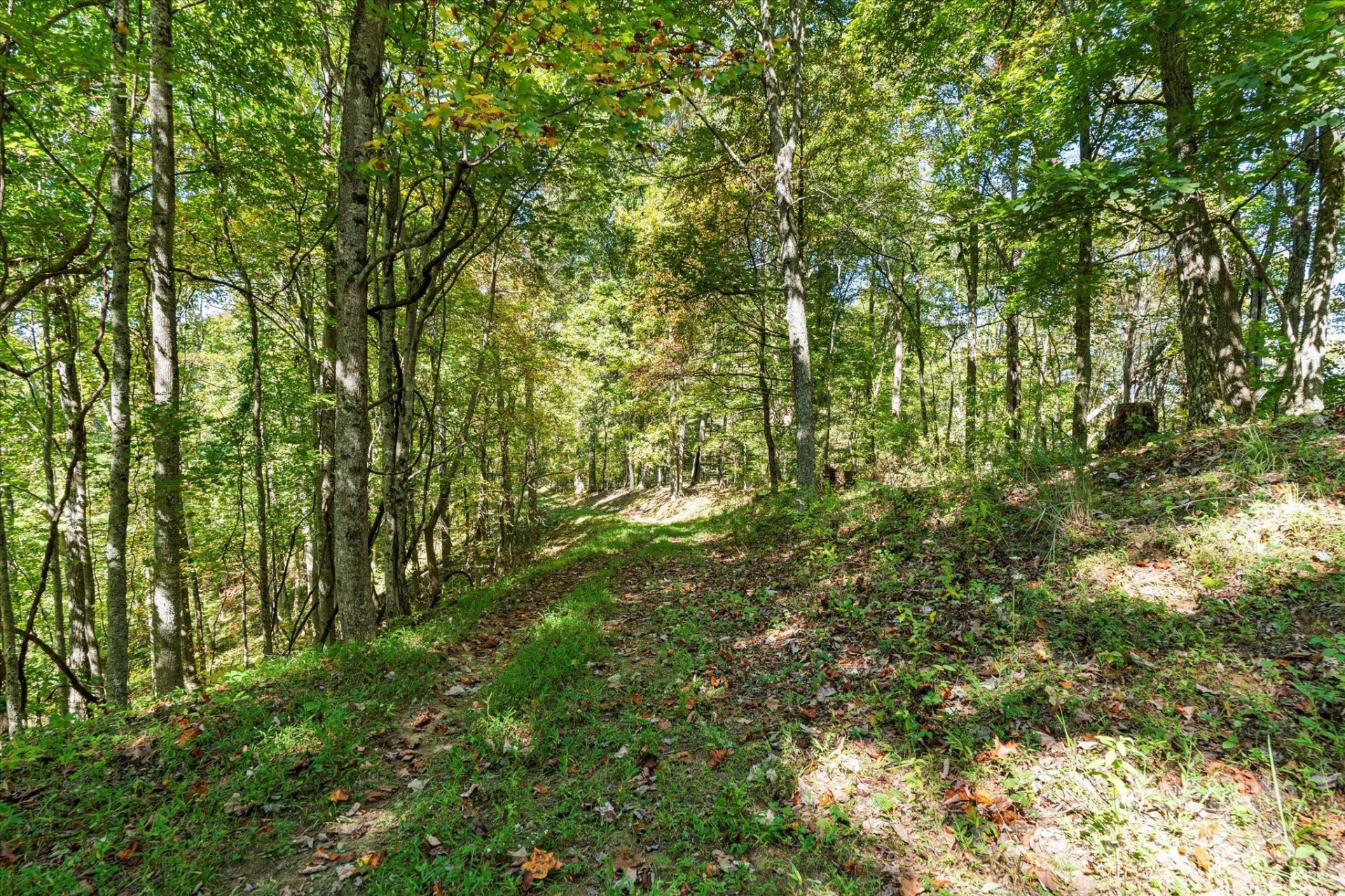 1623 Ammons Branch Road - Photo 11