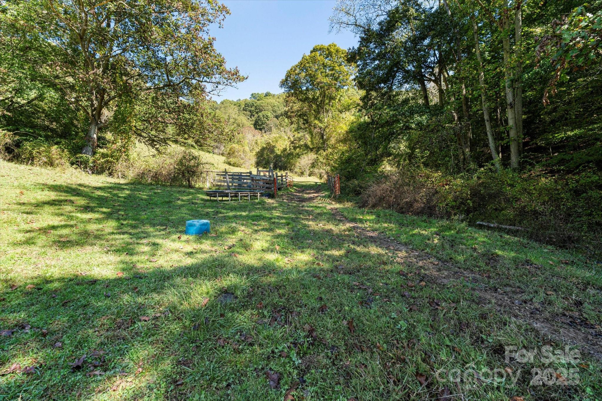 1623 Ammons Branch Road - Photo 12